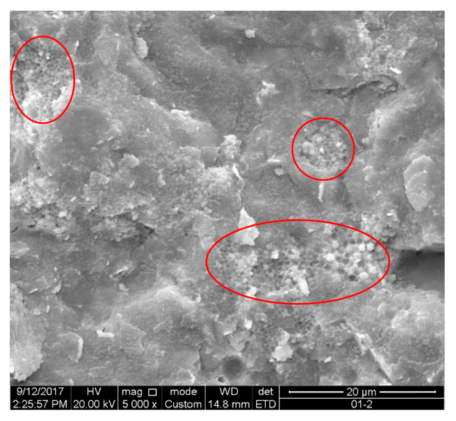 Minerals 13 00281 g005 Minerals 13 00281 g005