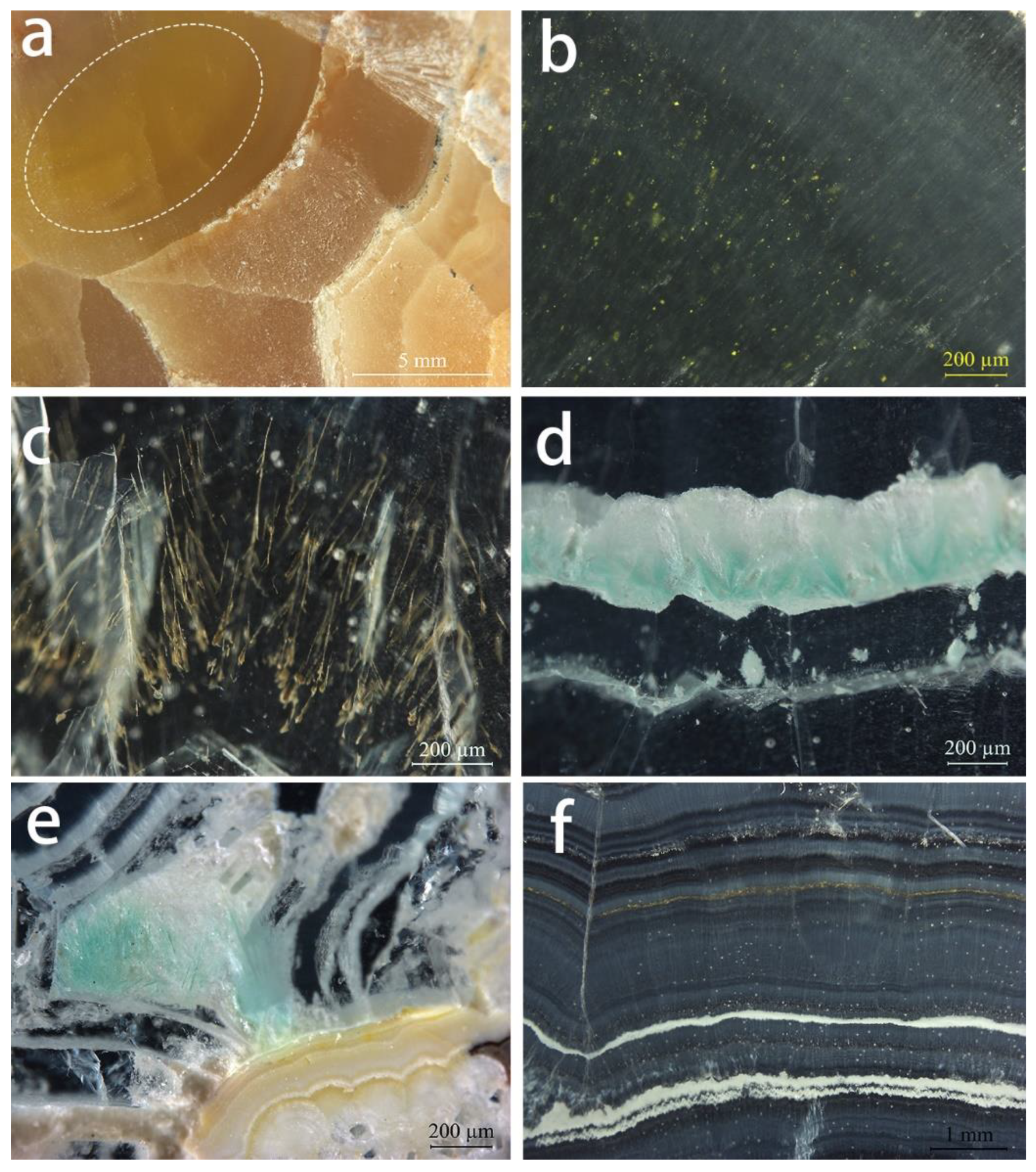Minerals 13 00296 g005