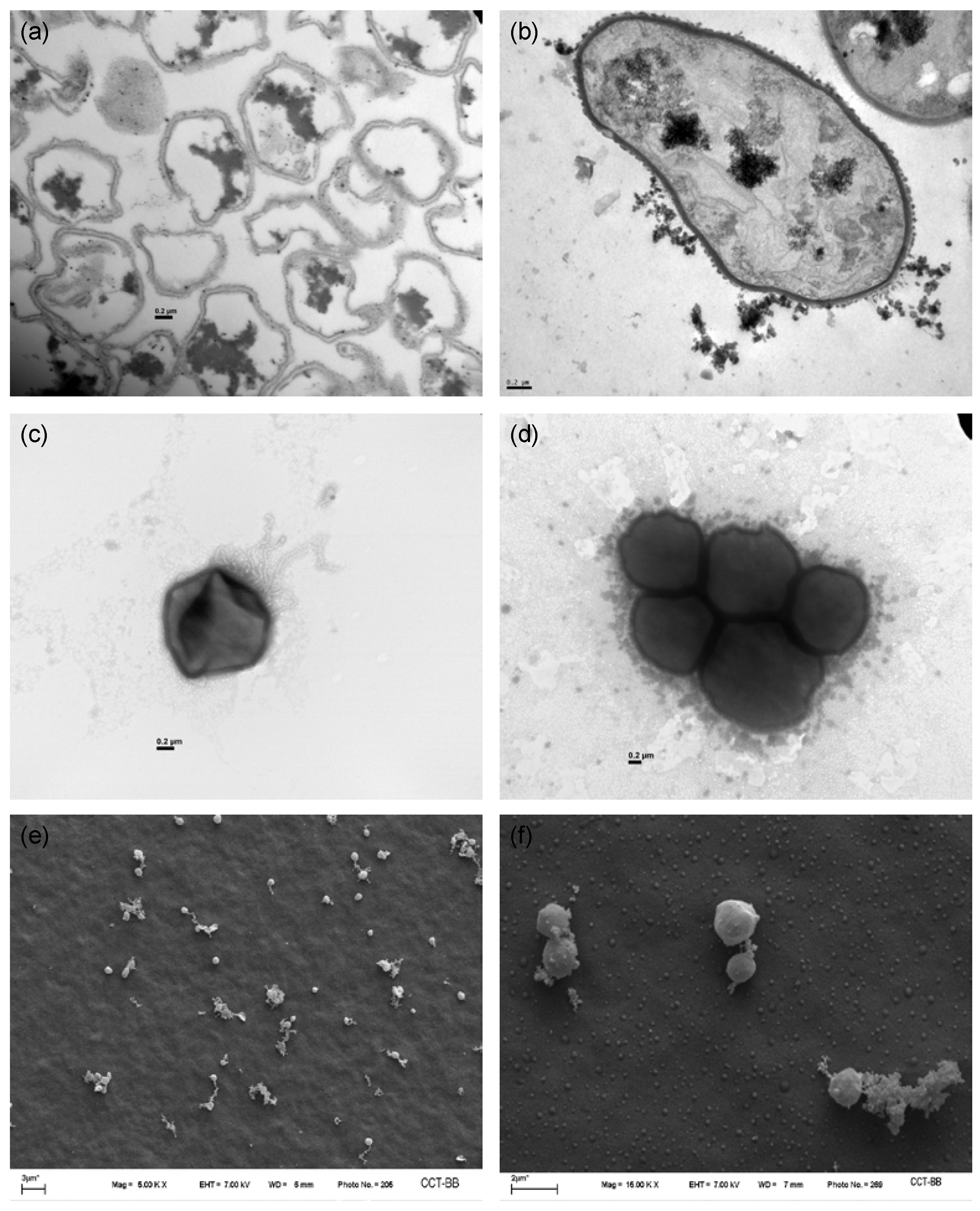 Minerals 13 00310 g001