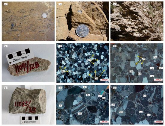 ＃k※※※※※ Primary Tumor Resection Provides Survival Benefits for