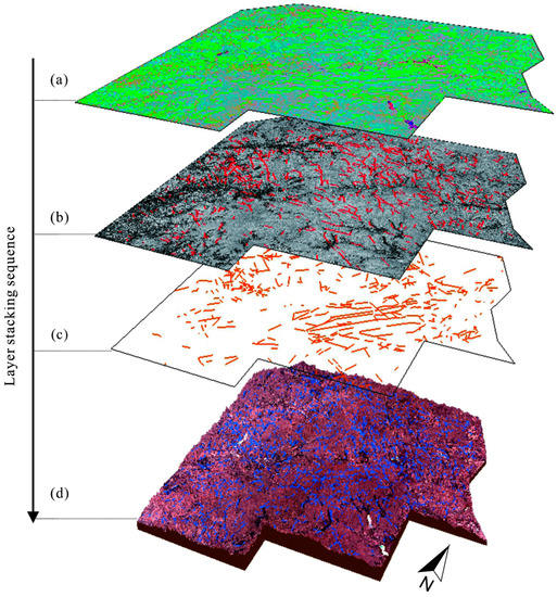 Innovation　 Spatial Analysis of Structure and Metal Mineralization Based