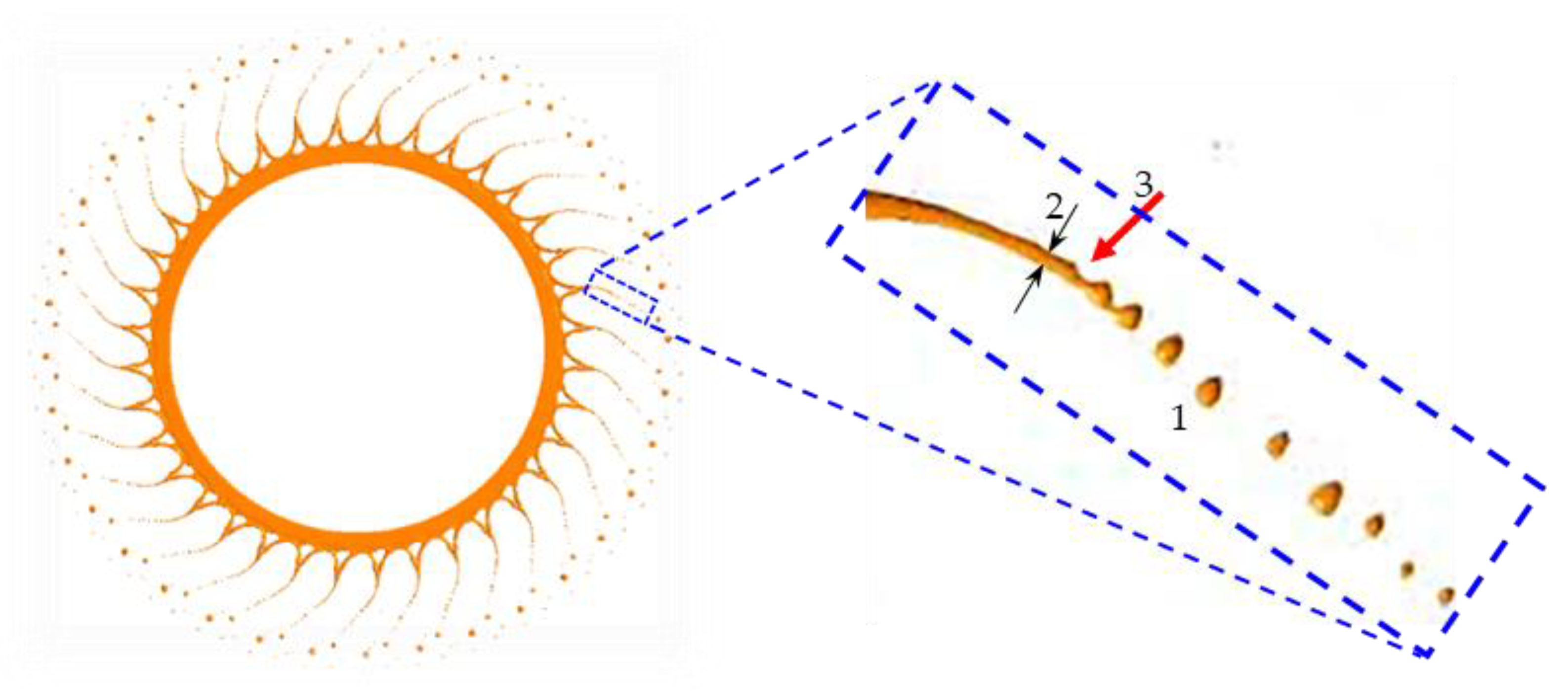 Minerals 13 00316 g005