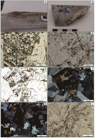 Characteristics of REEs and Trace Elements in Scheelite and Characteristics of REEs and Trace Elements in Scheelite and