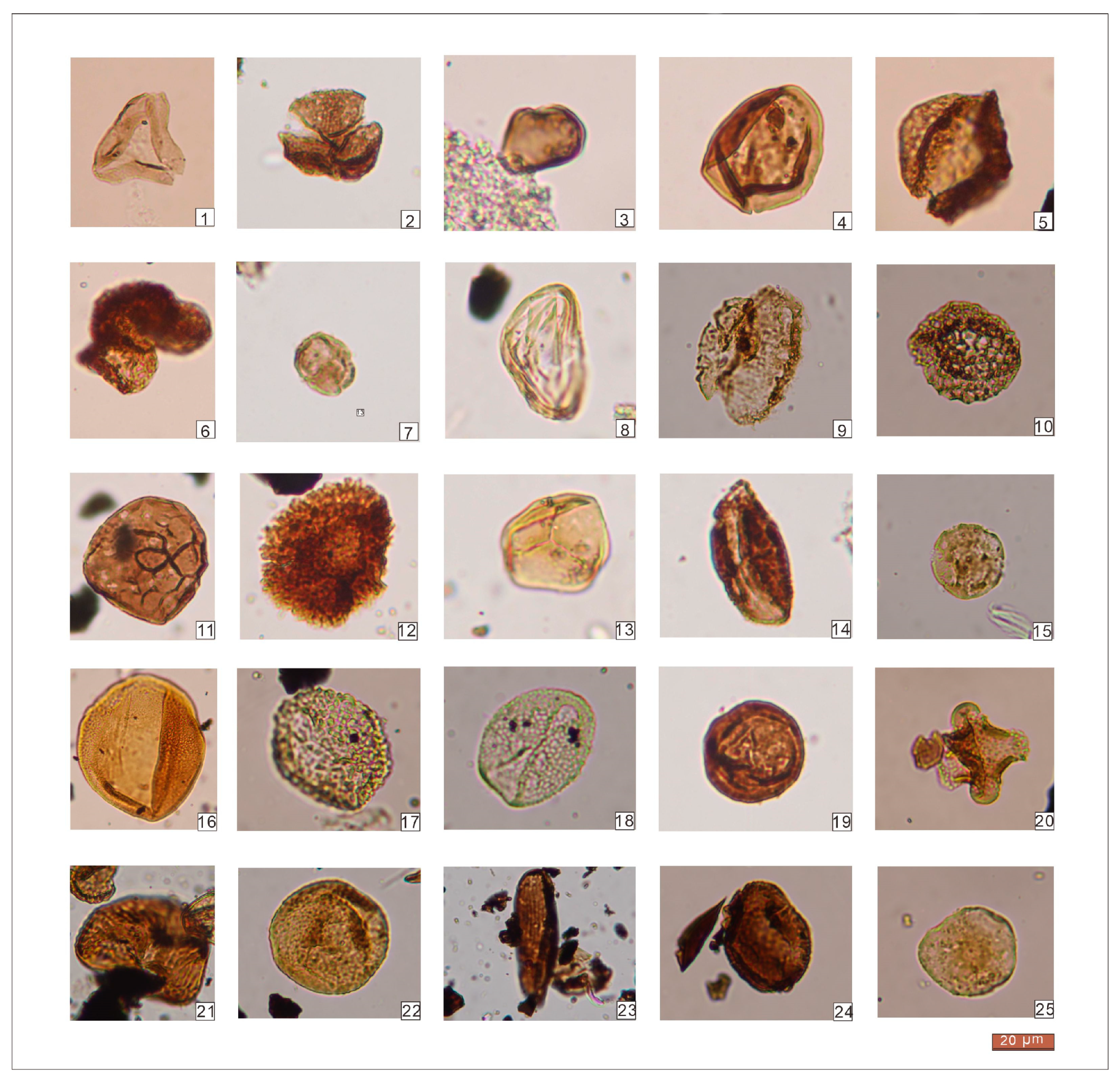 Minerals 13 00338 g004 Minerals 13 00338 g004