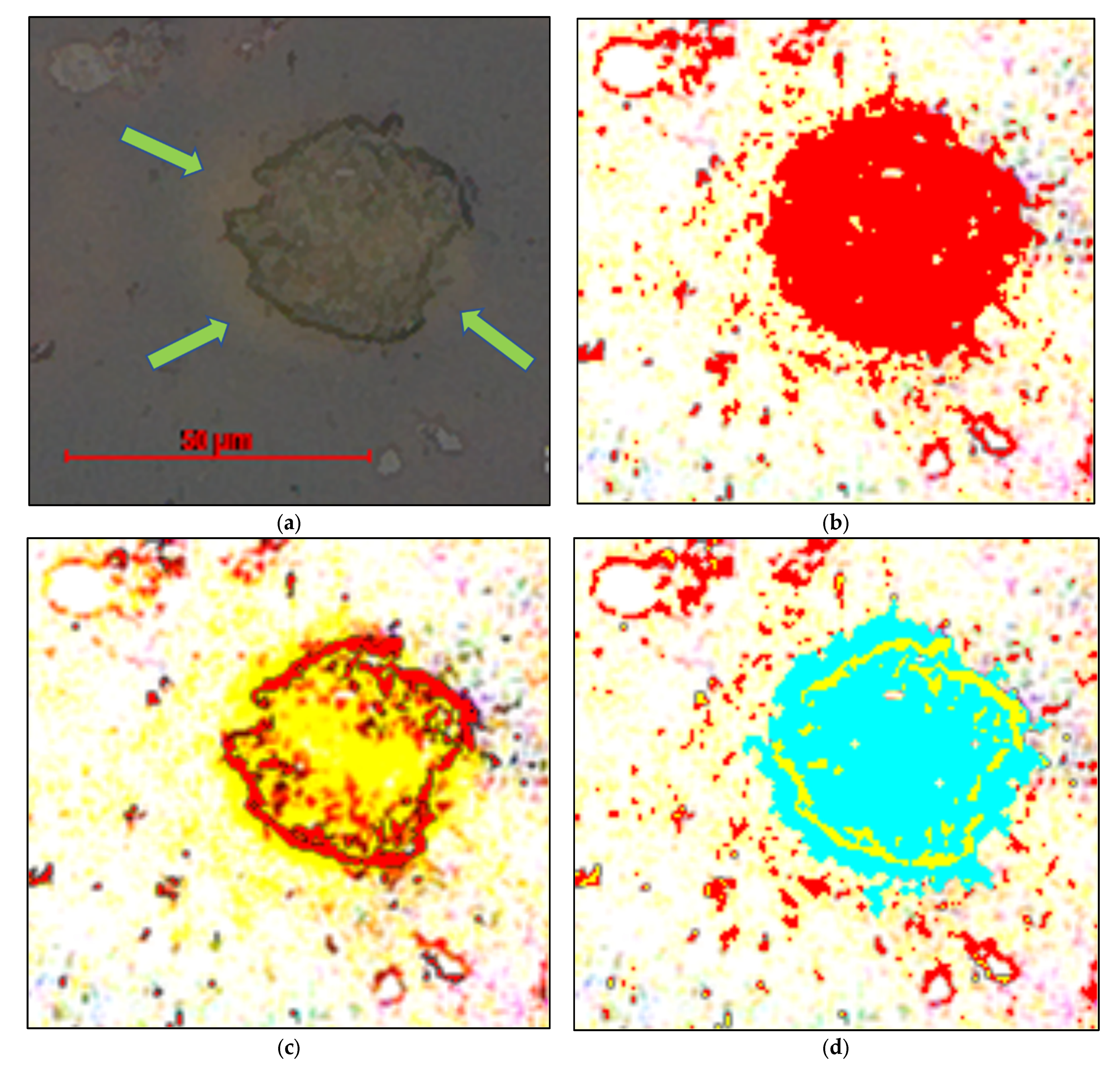Minerals 13 00350 g011