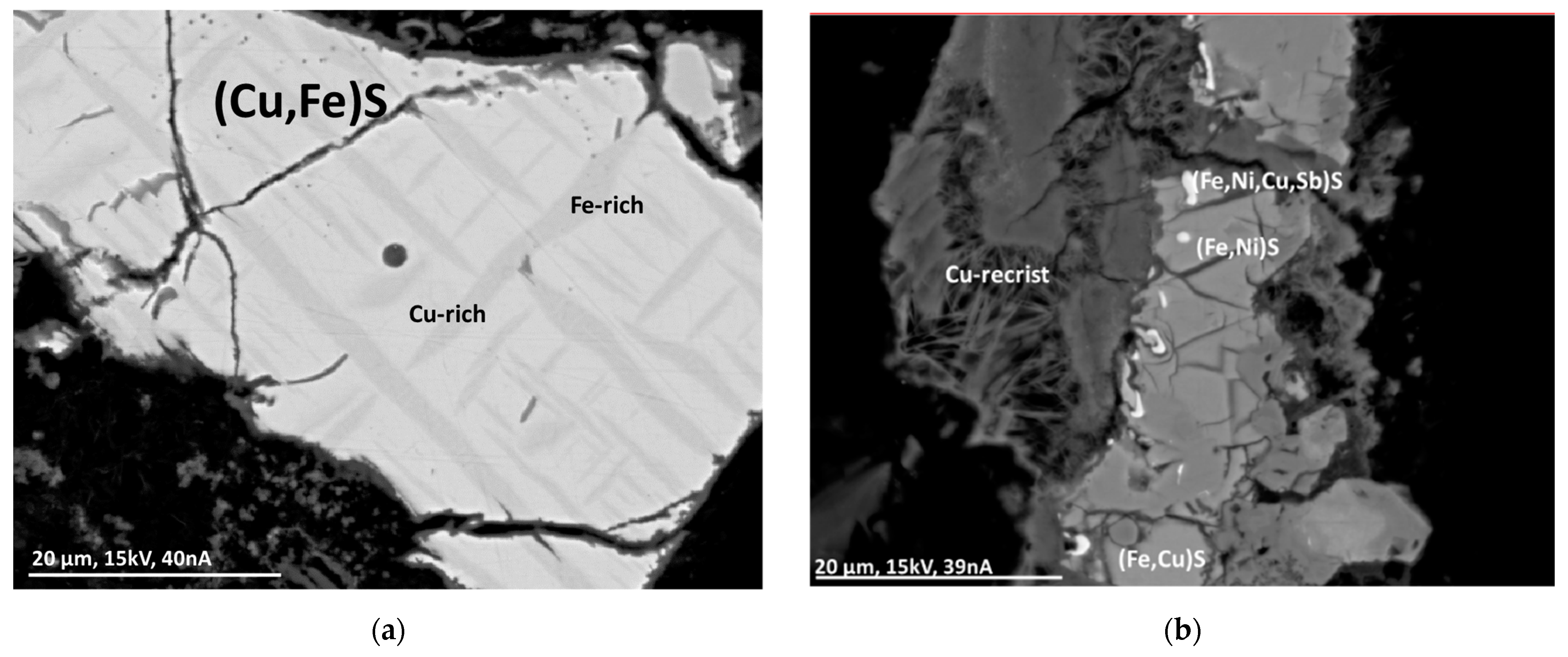Minerals 13 00358 g001 550