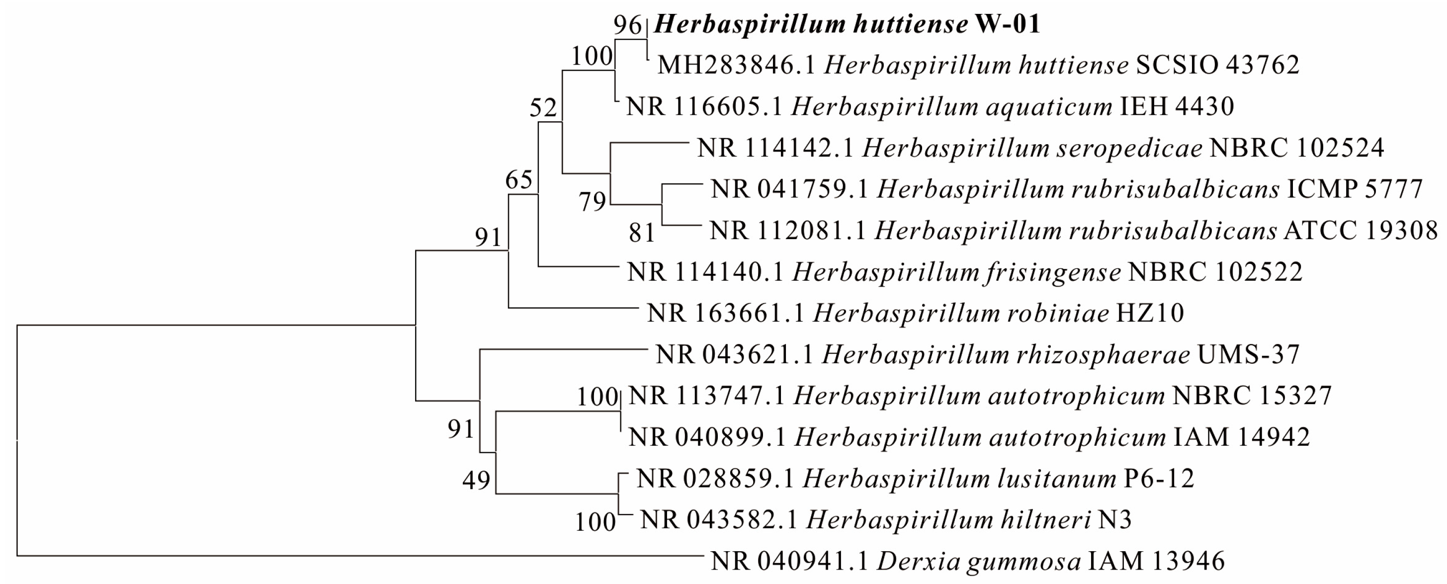 Minerals 13 00367 g001