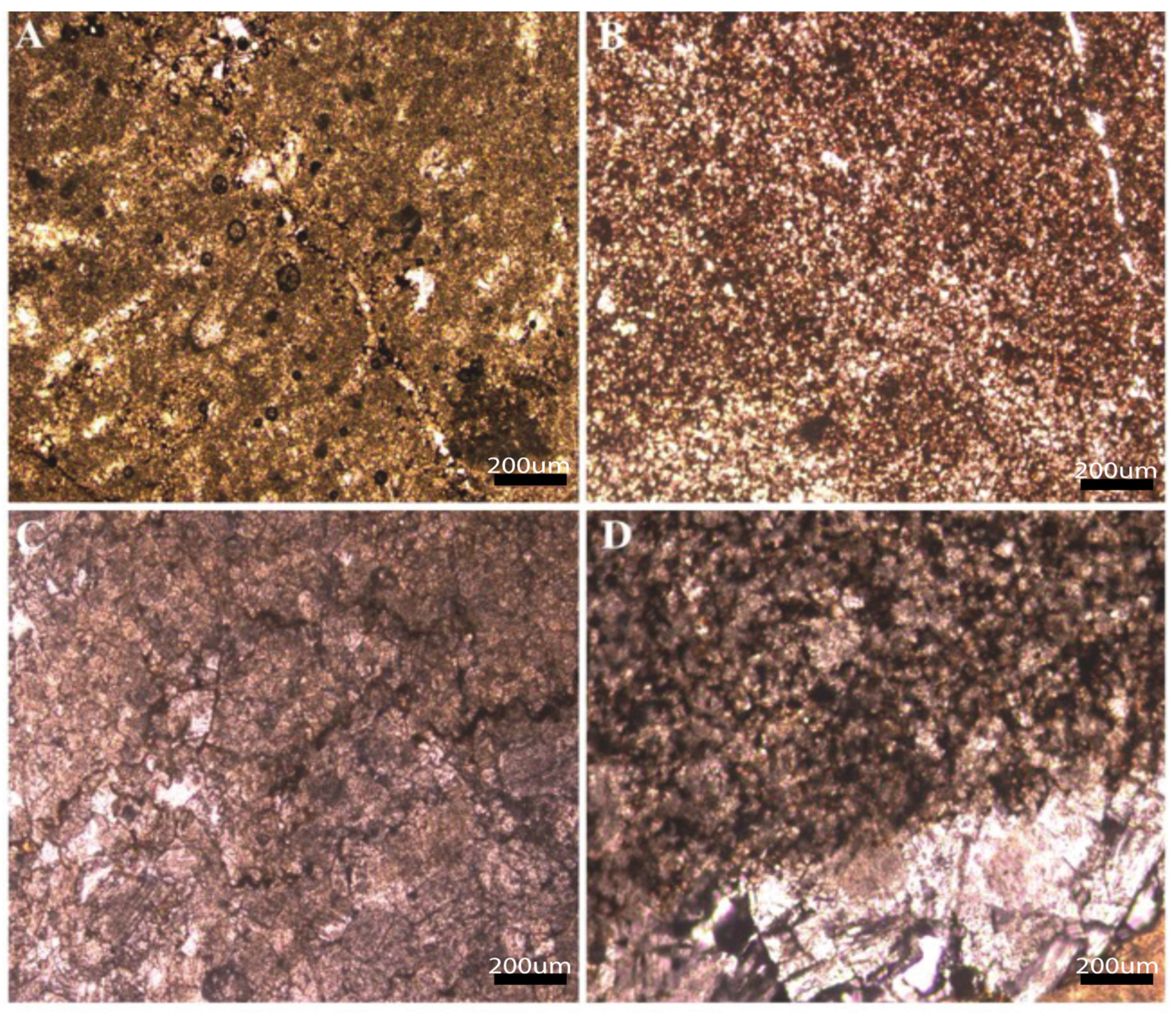 Minerals 13 00377 g007