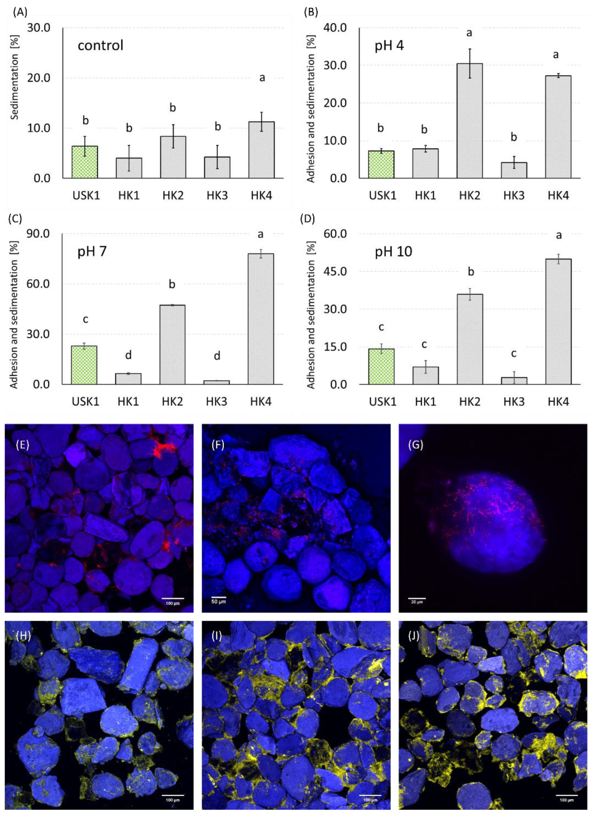 Minerals 13 00388 g005