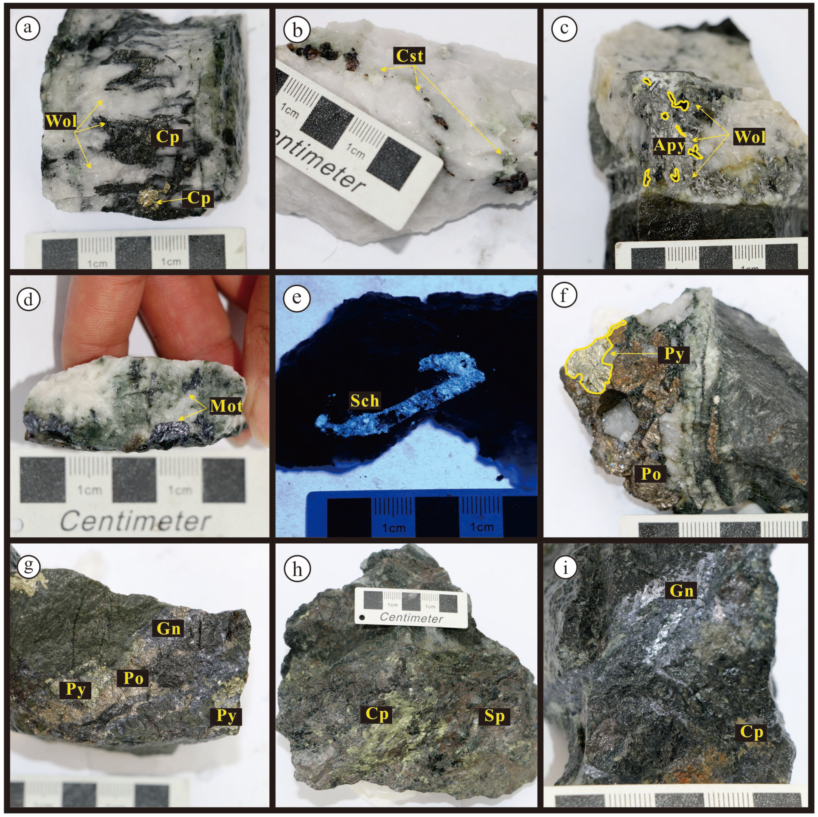 SEED Ore Genesis of the Baishitouwa Quartz–Wolframite Vein-Type