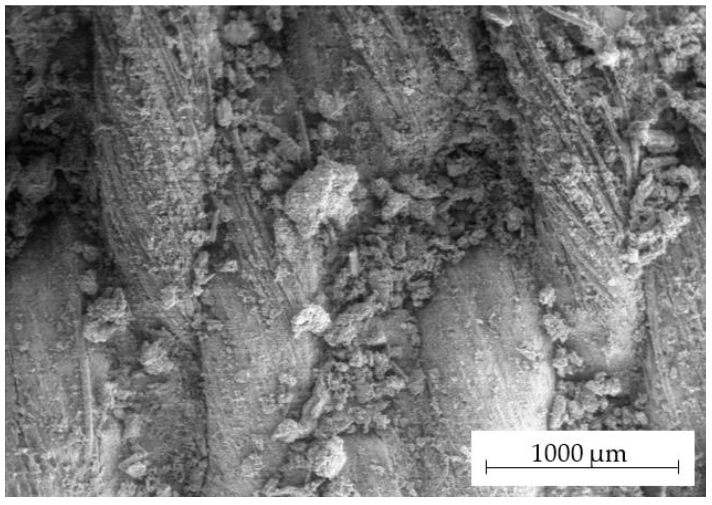 Minerals 13 00416 g001