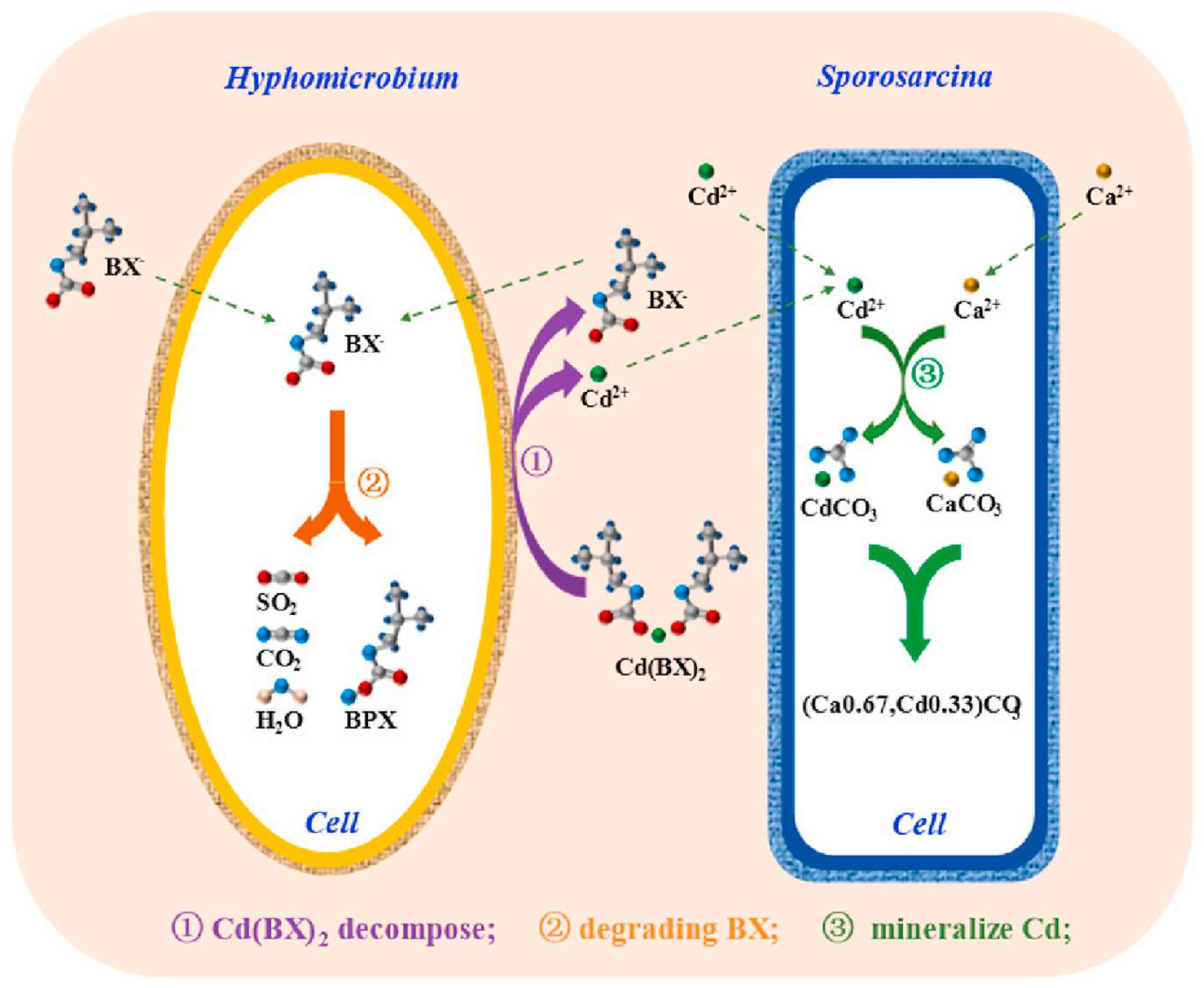 Minerals 13 00435 g001