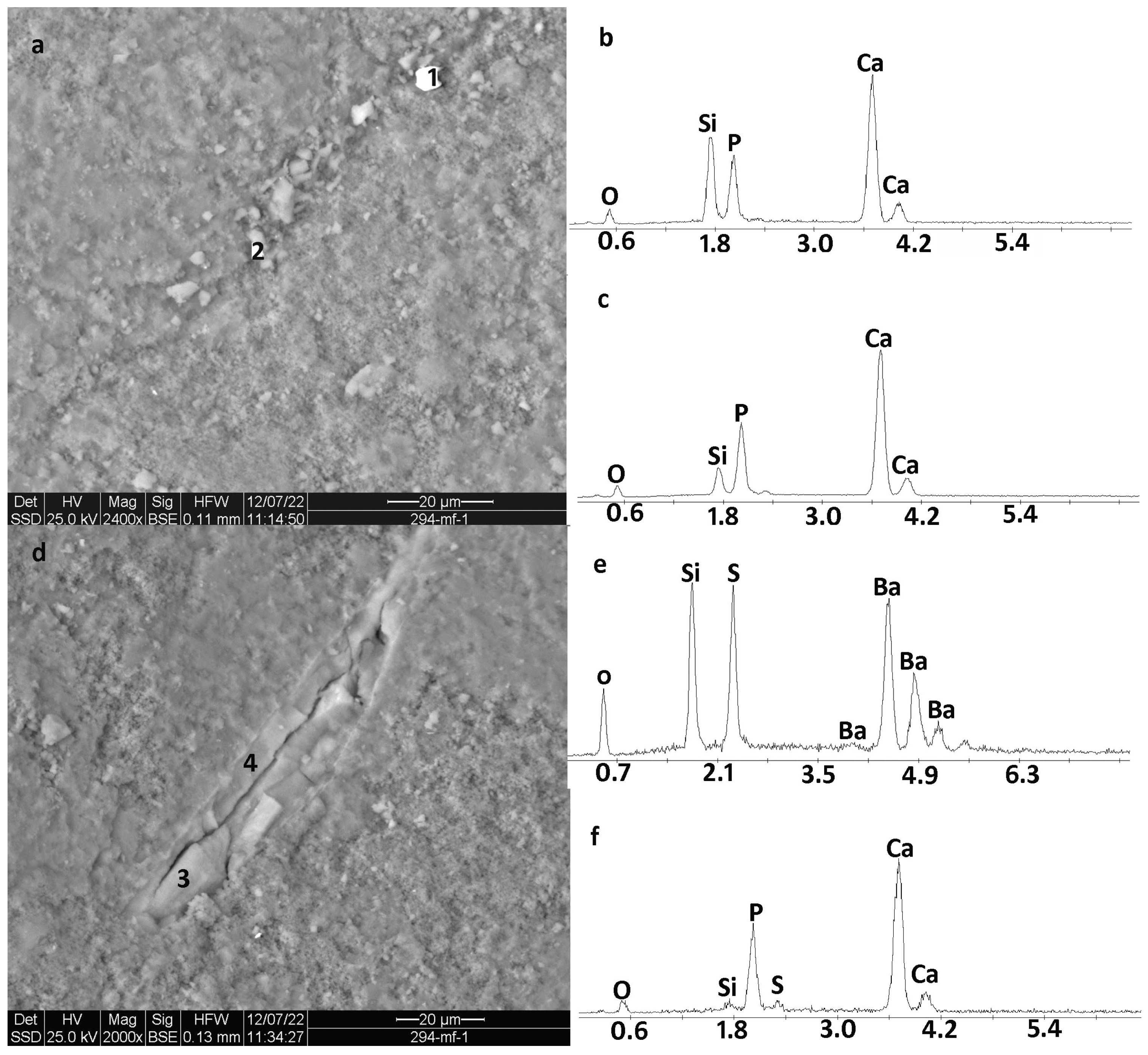 Minerals 13 00455 g015 550
