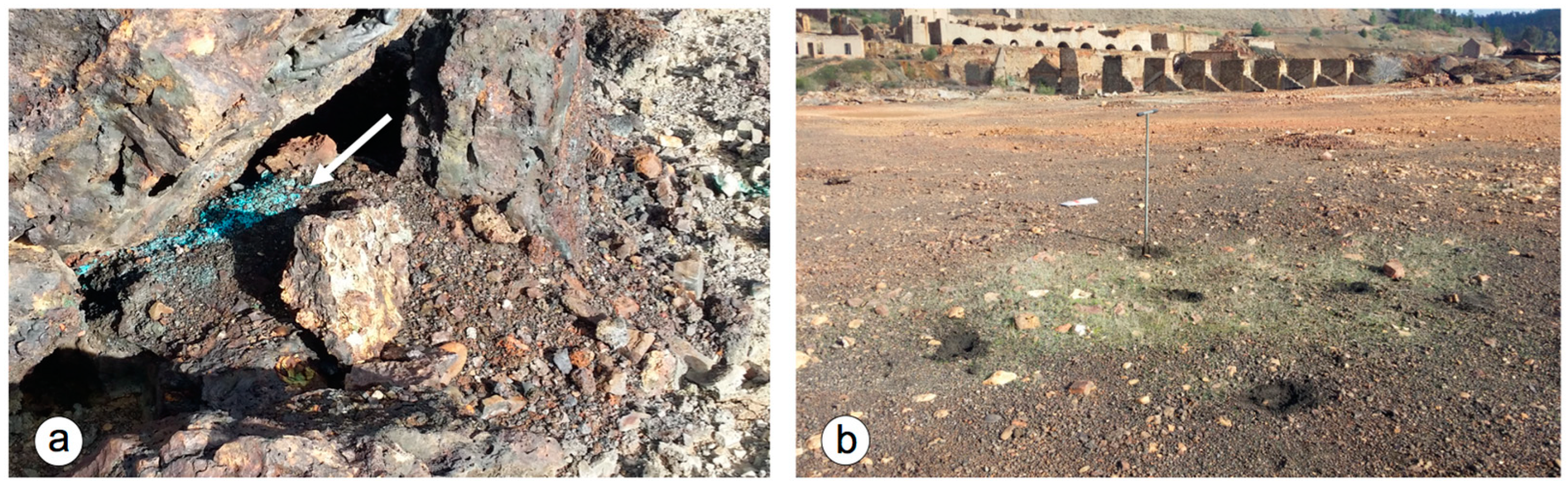 Minerals 13 00456 g005