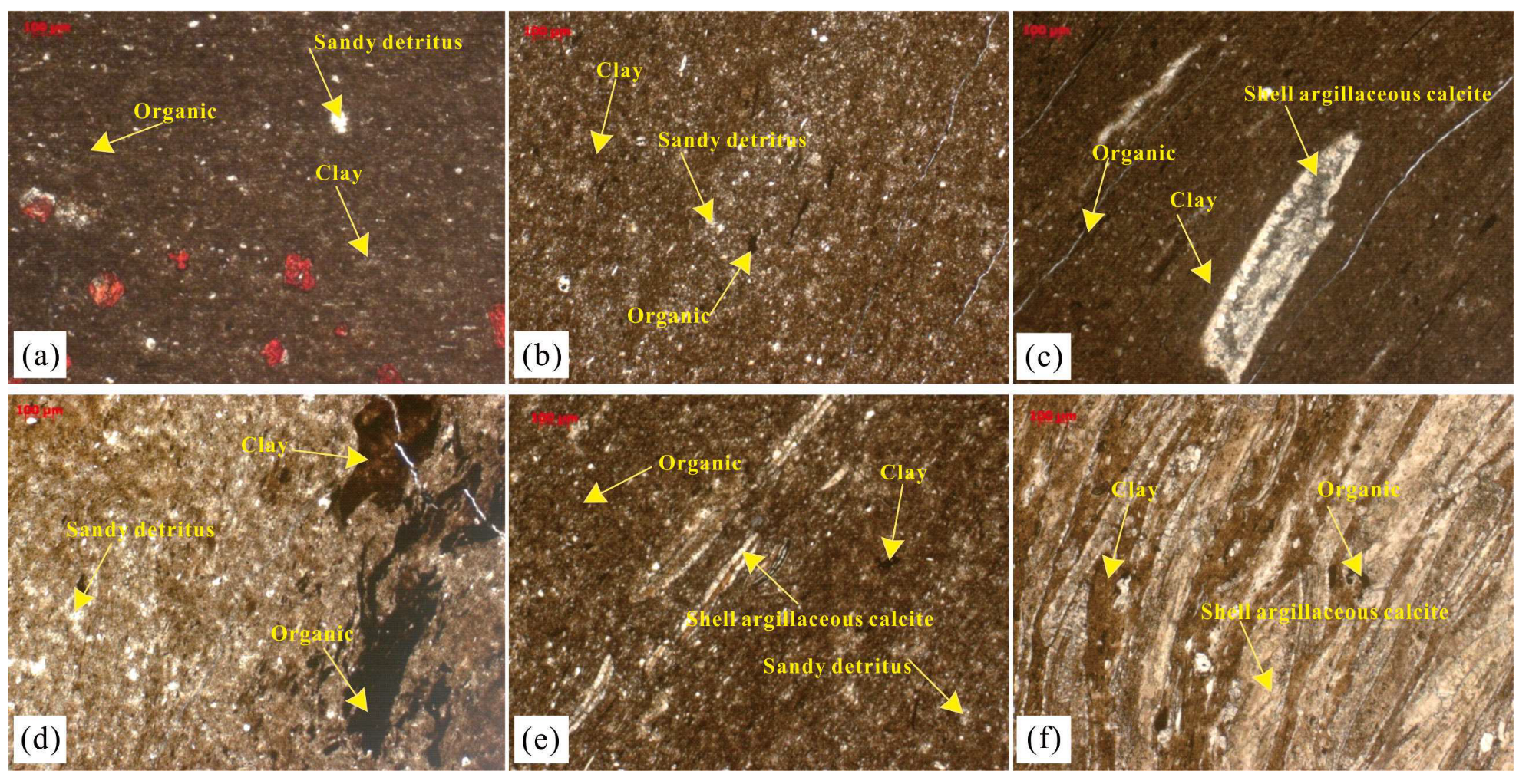 Minerals 13 00460 g004 550