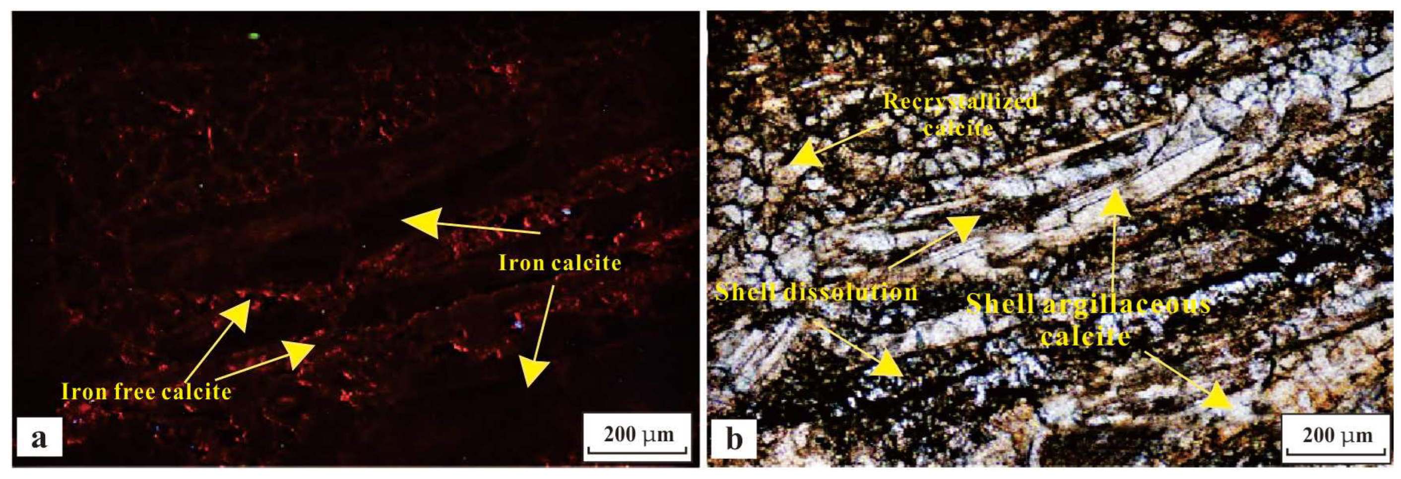 Minerals 13 00460 g009 550