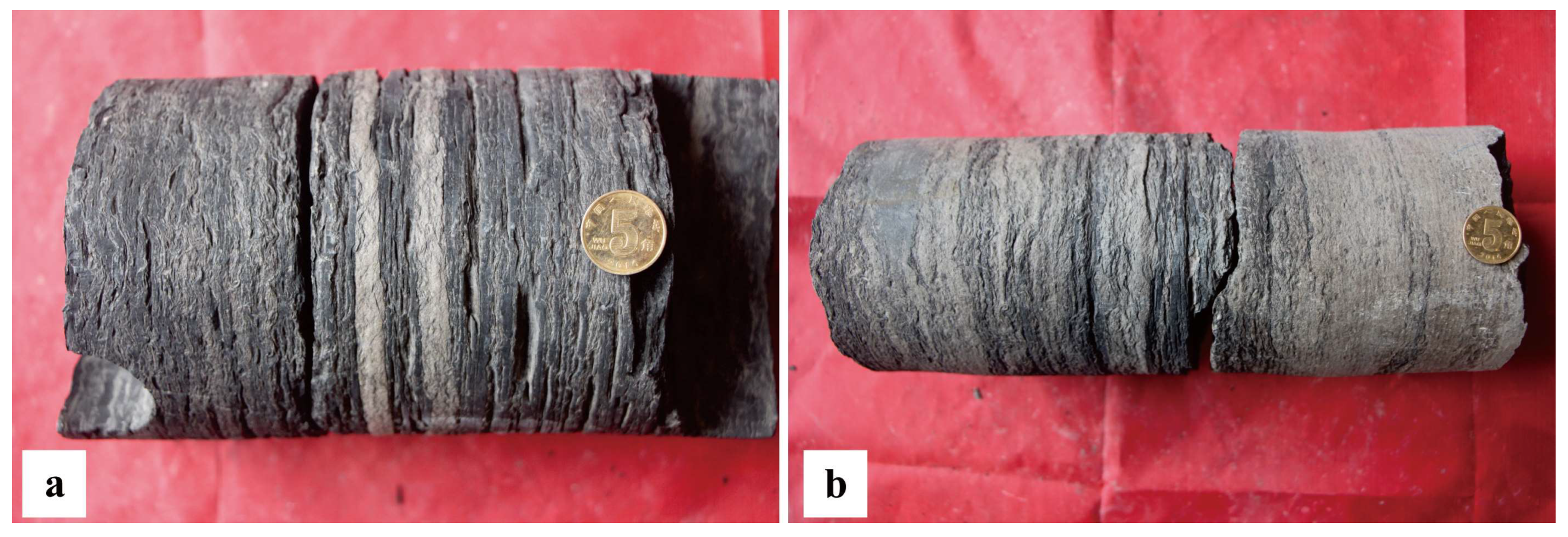 Minerals 13 00460 g010 550