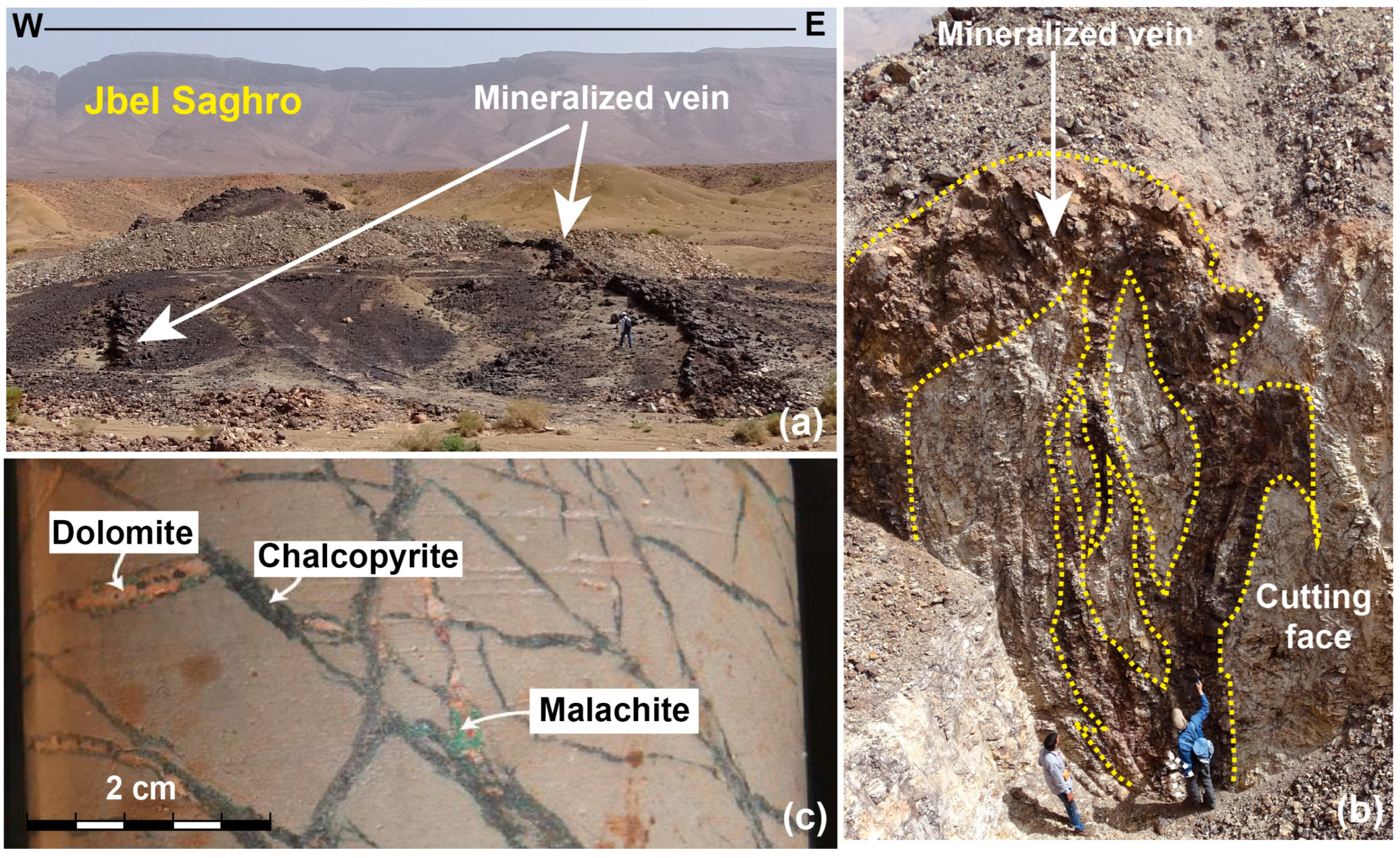 Minerals 13 00488 g010