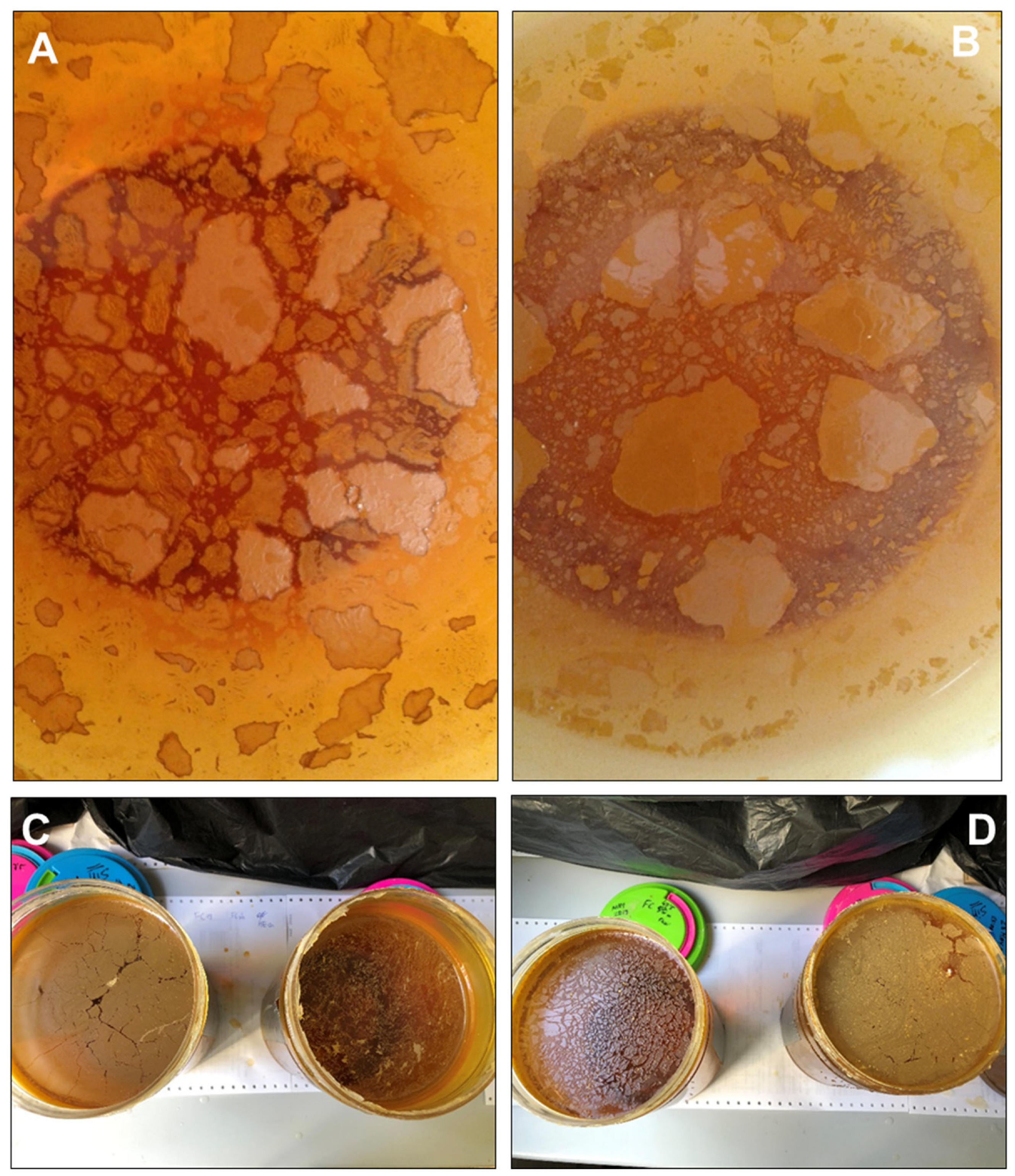 Minerals 13 00508 g003 Minerals 13 00508 g003