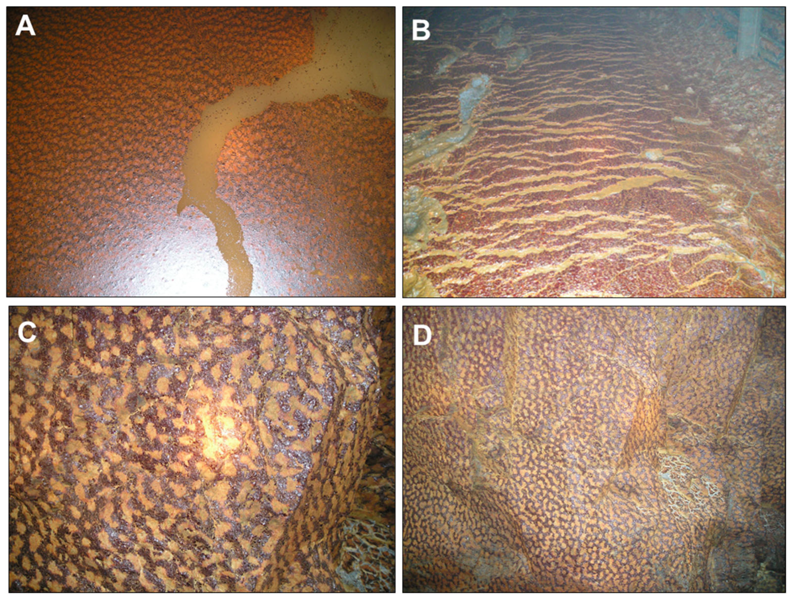 Minerals 13 00508 g005 Minerals 13 00508 g005