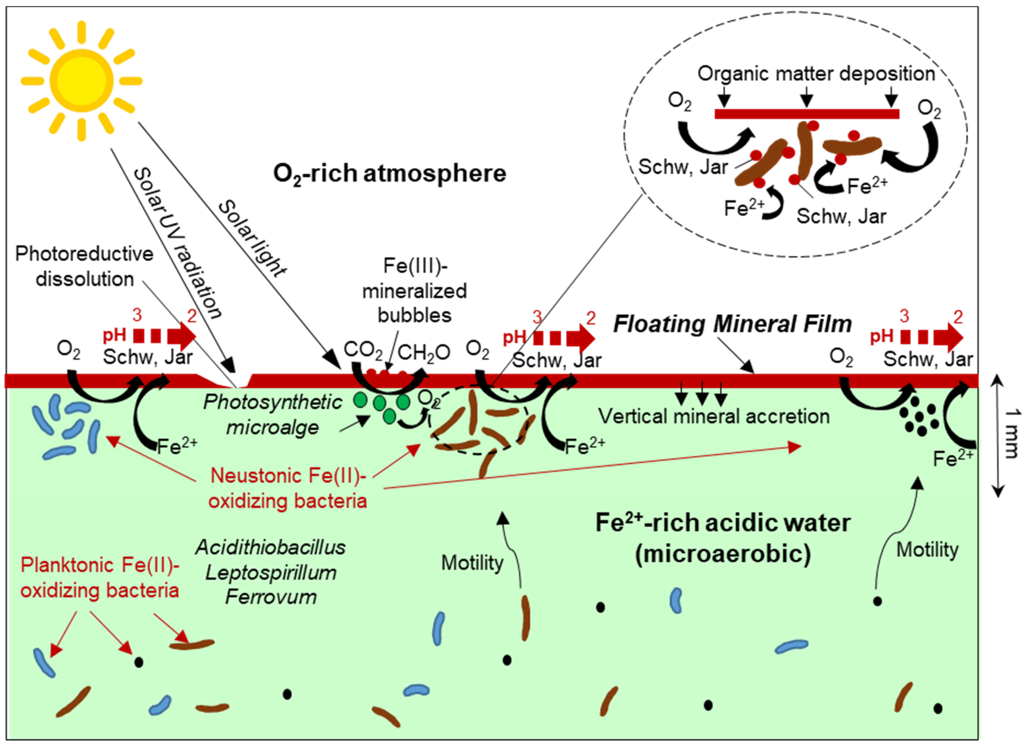 Minerals 13 00508 g009 Minerals 13 00508 g009