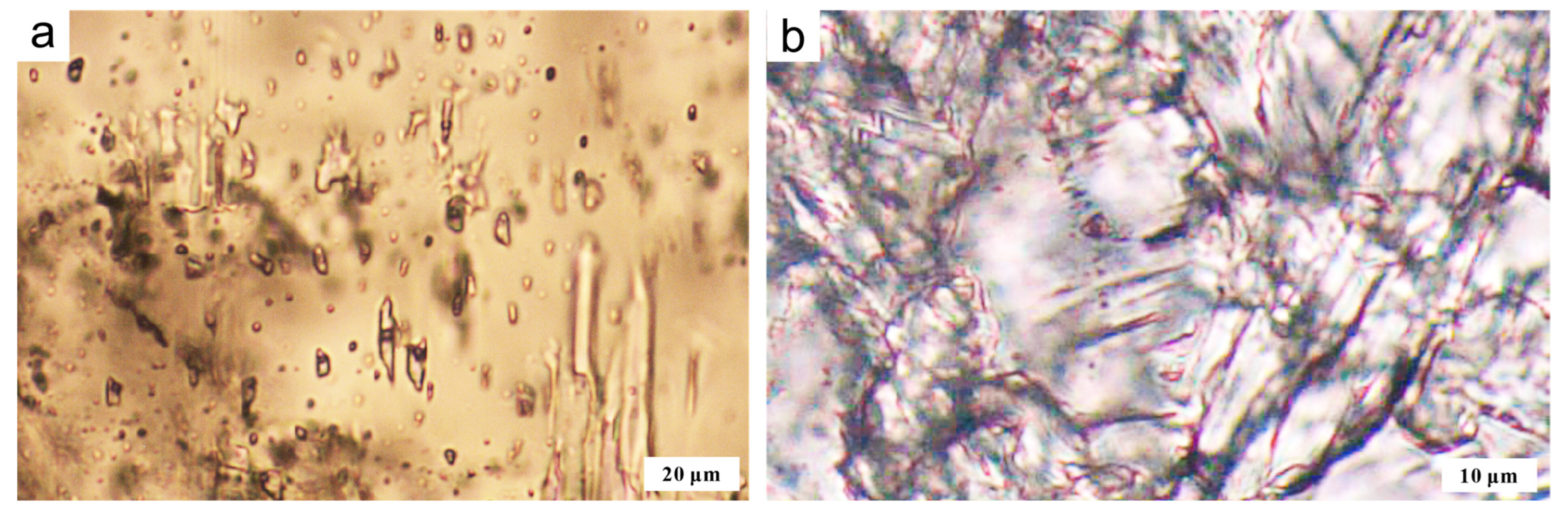Minerals 13 00513 g006