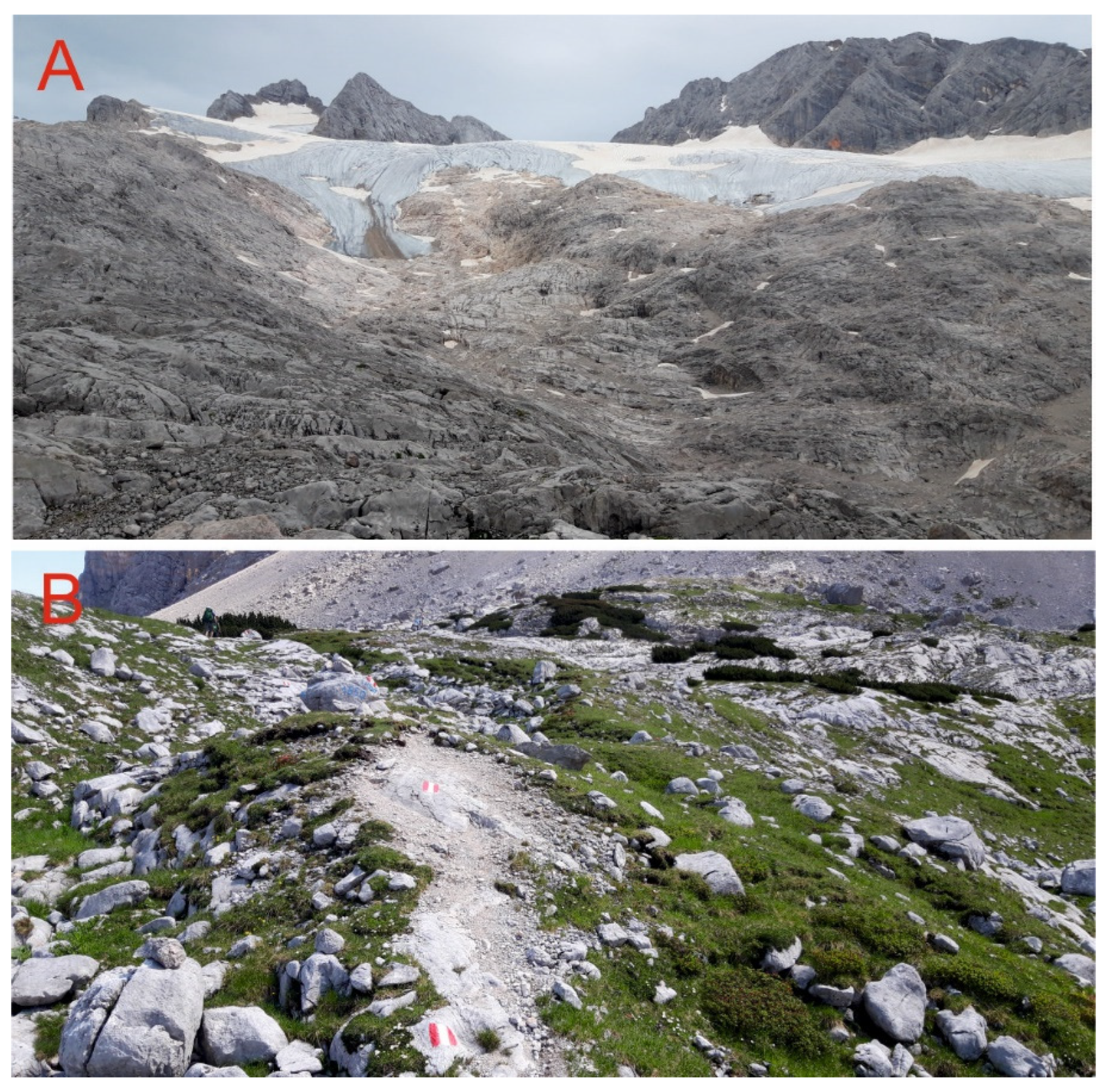 Minerals 13 00530 g002 Minerals 13 00530 g002