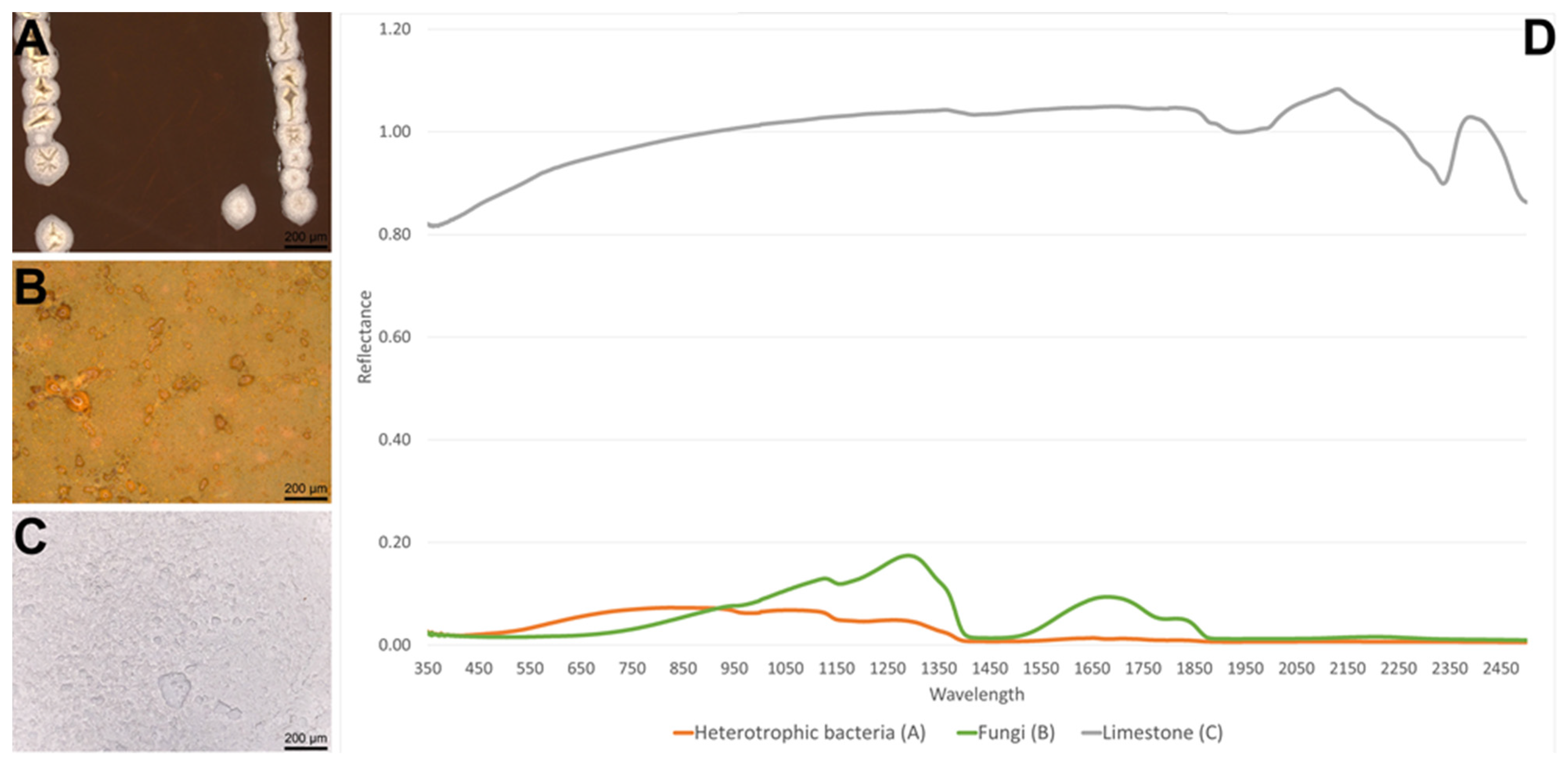 Minerals 13 00530 g017 Minerals 13 00530 g017