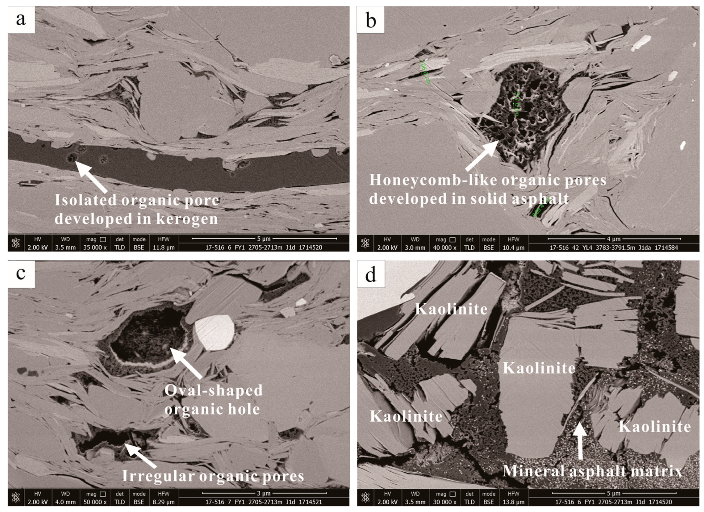 Minerals 13 00535 g005