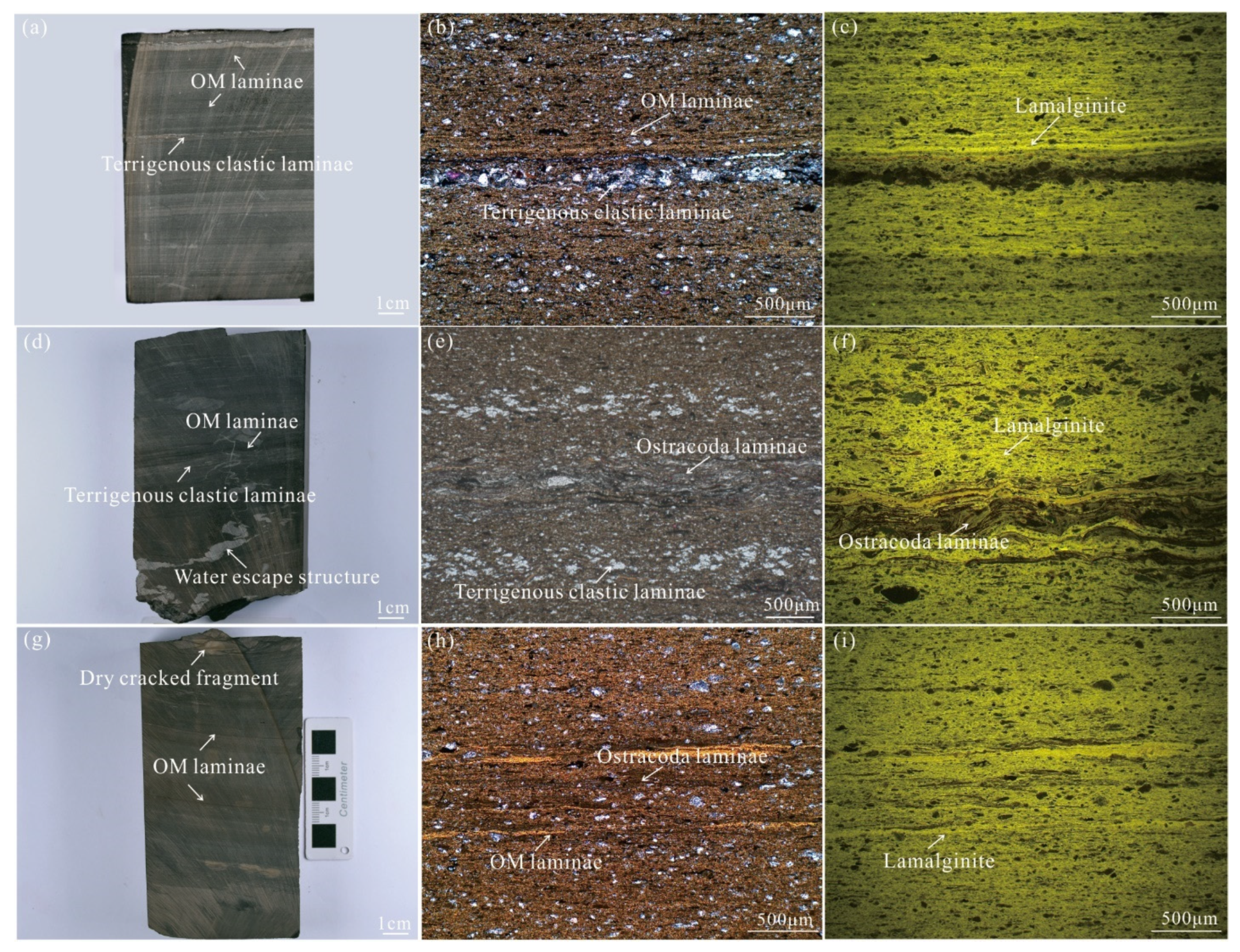 Minerals 13 00537 g002