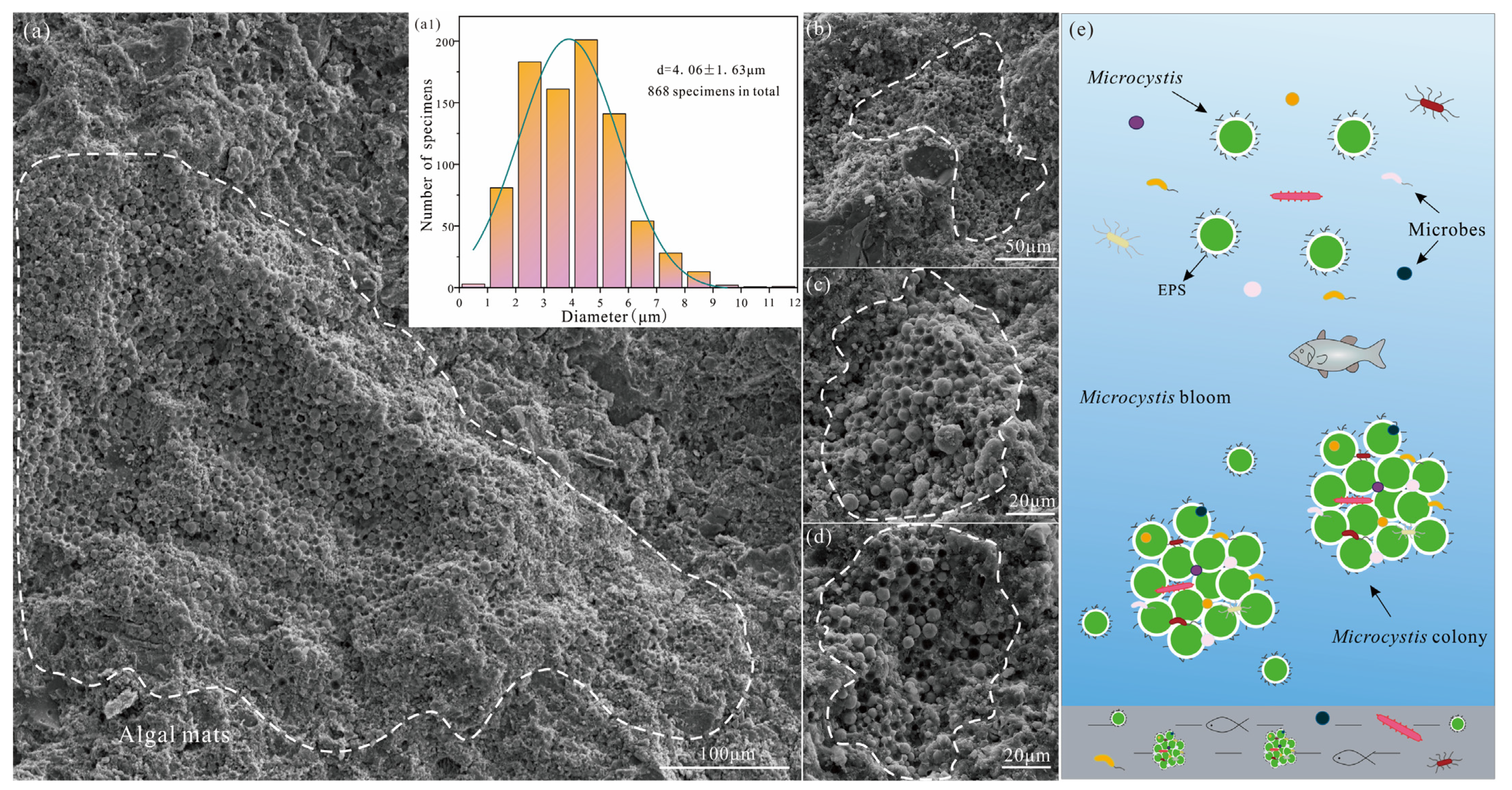Minerals 13 00537 g003