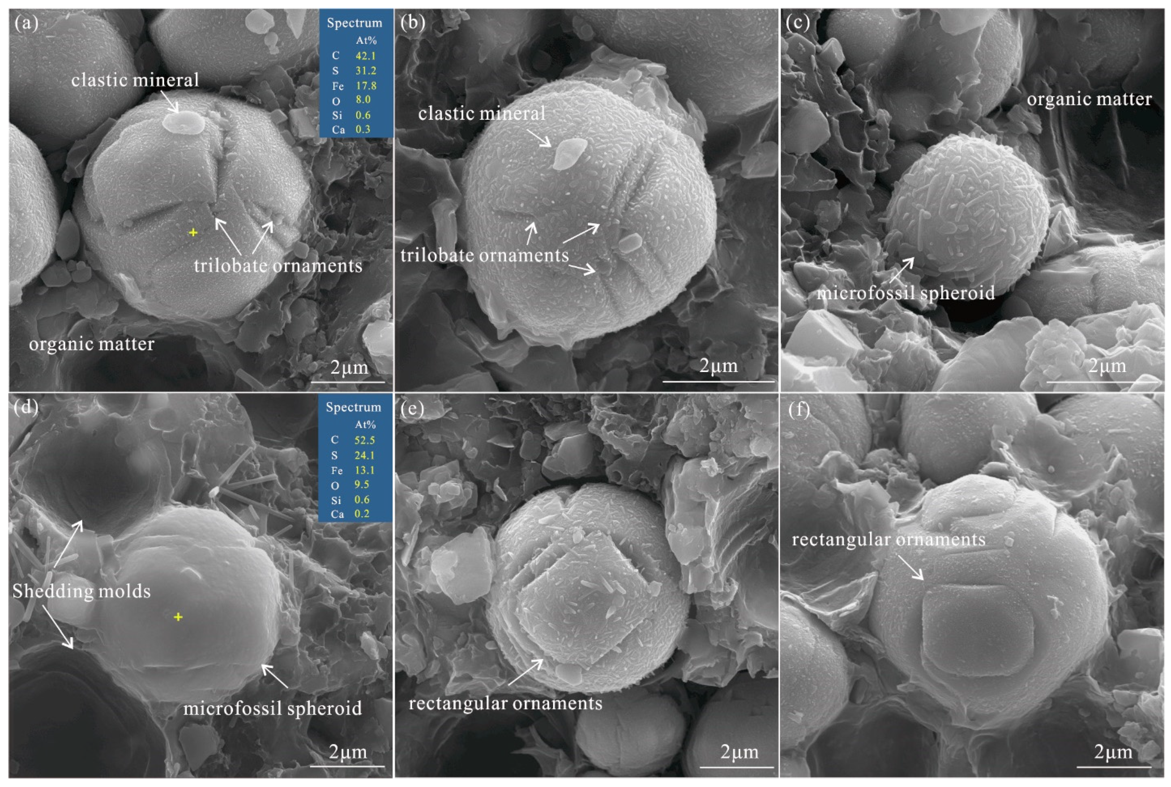 Minerals 13 00537 g006