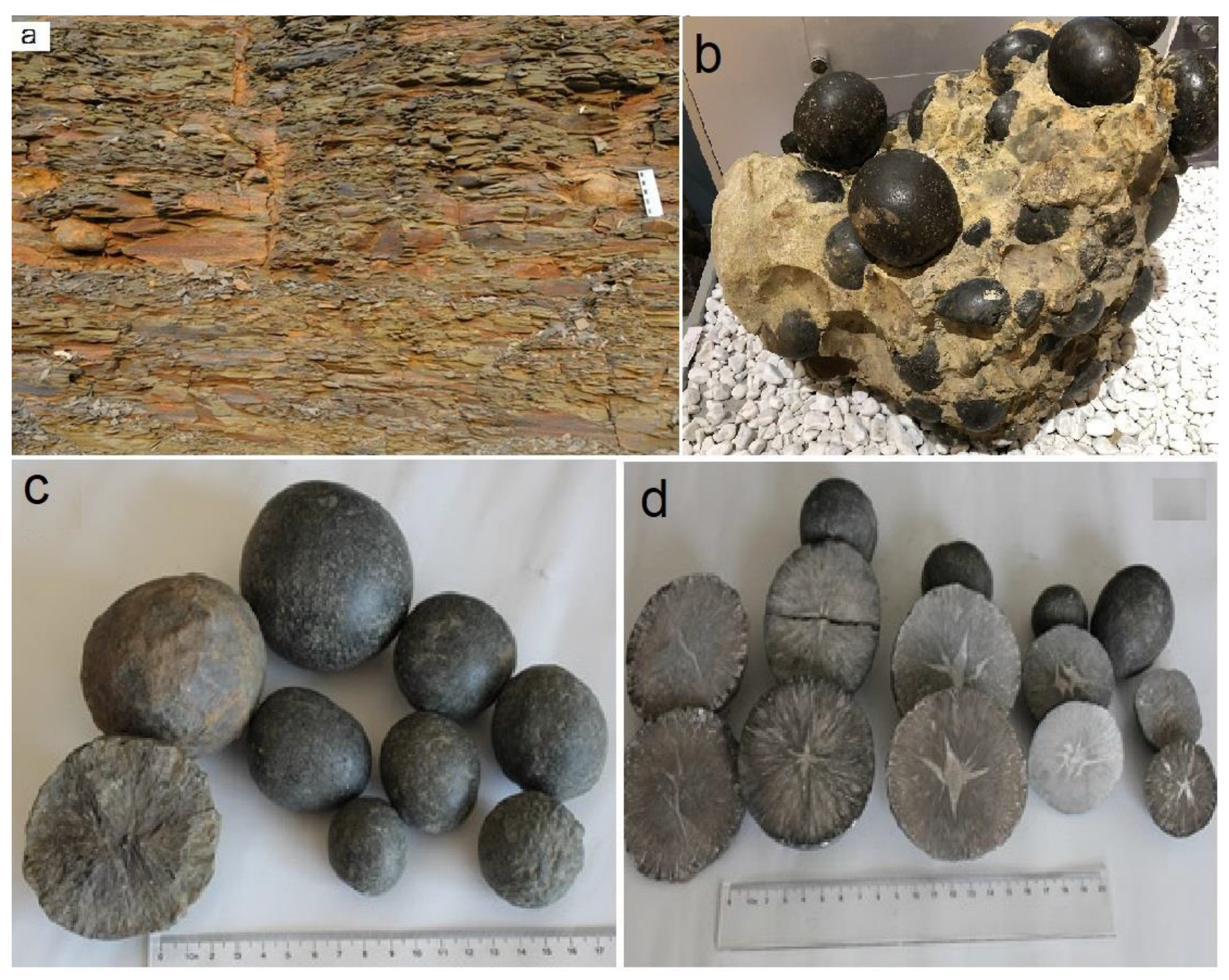 Minerals 13 00539 g004 Minerals 13 00539 g004