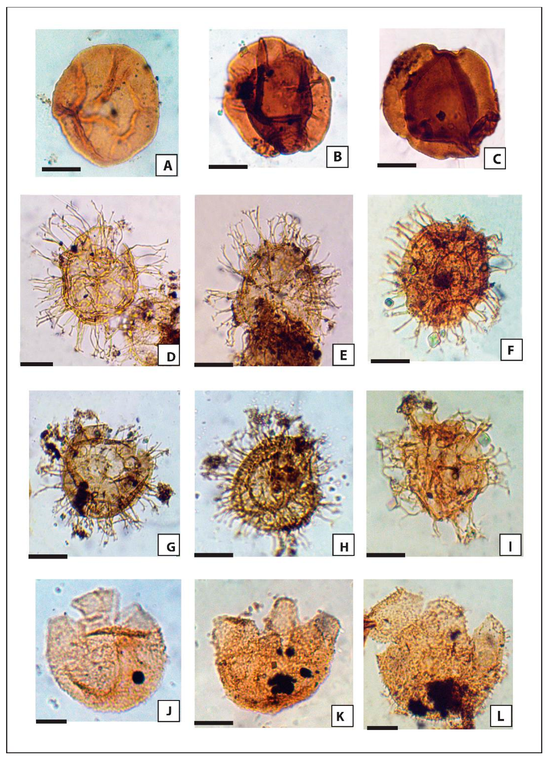 Minerals 13 00548 g003 Minerals 13 00548 g003