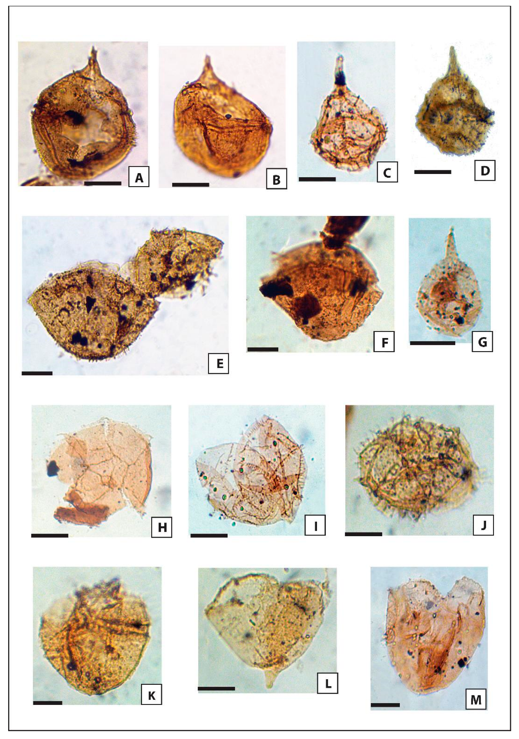 Minerals 13 00548 g004 Minerals 13 00548 g004