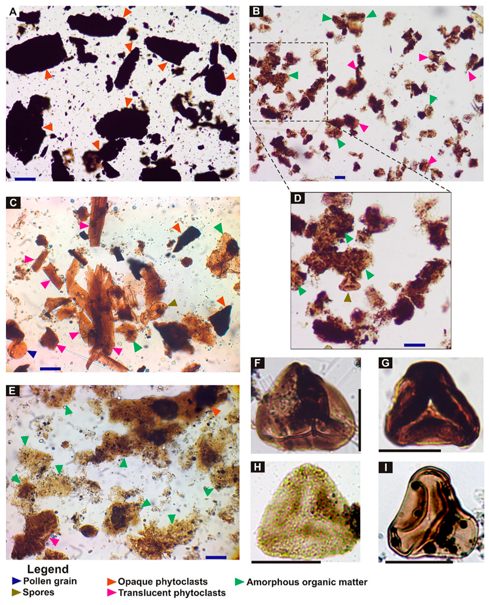 Minerals 13 00548 g005 Minerals 13 00548 g005