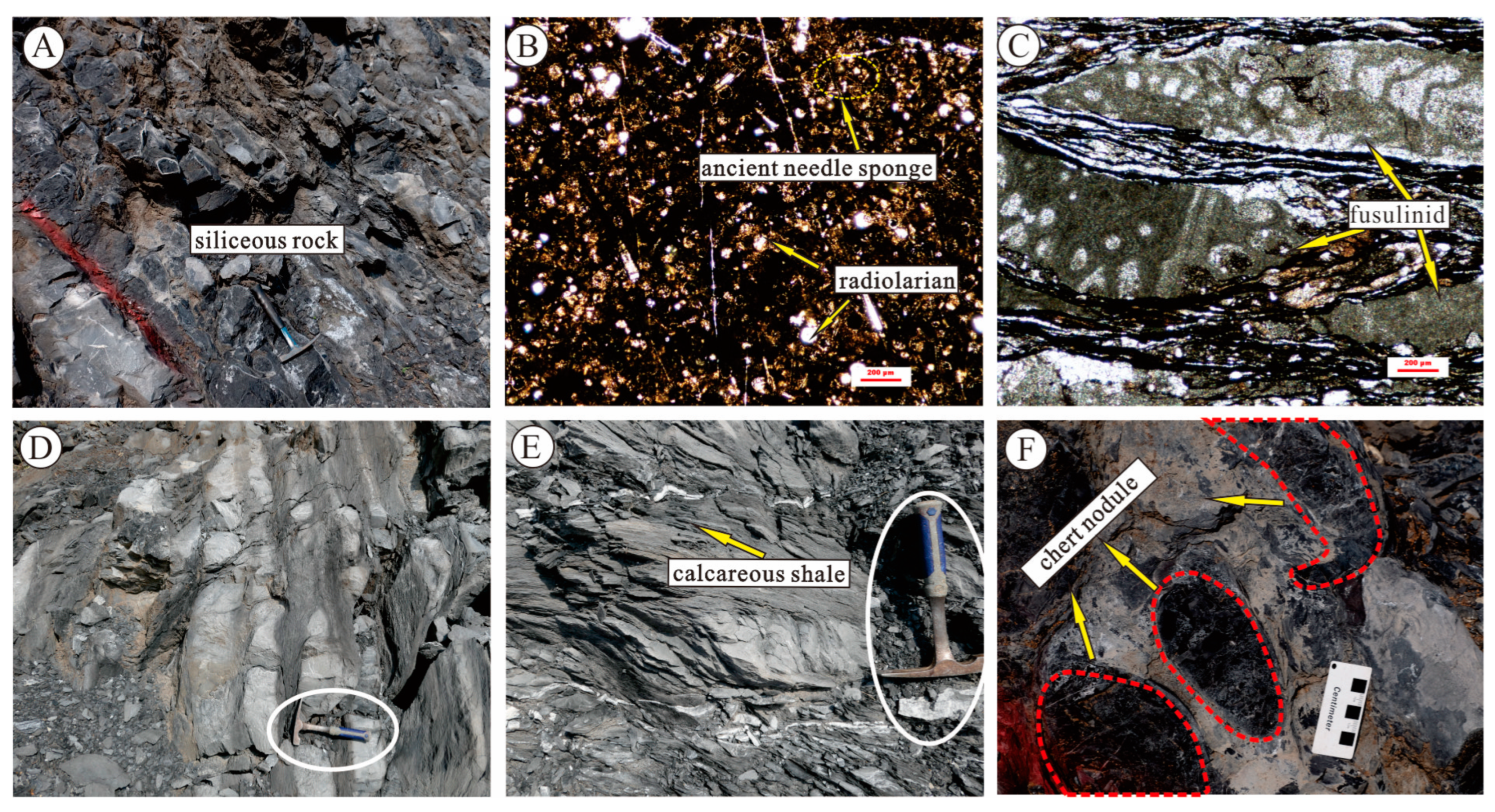 Minerals 13 00551 g003a Minerals 13 00551 g003a