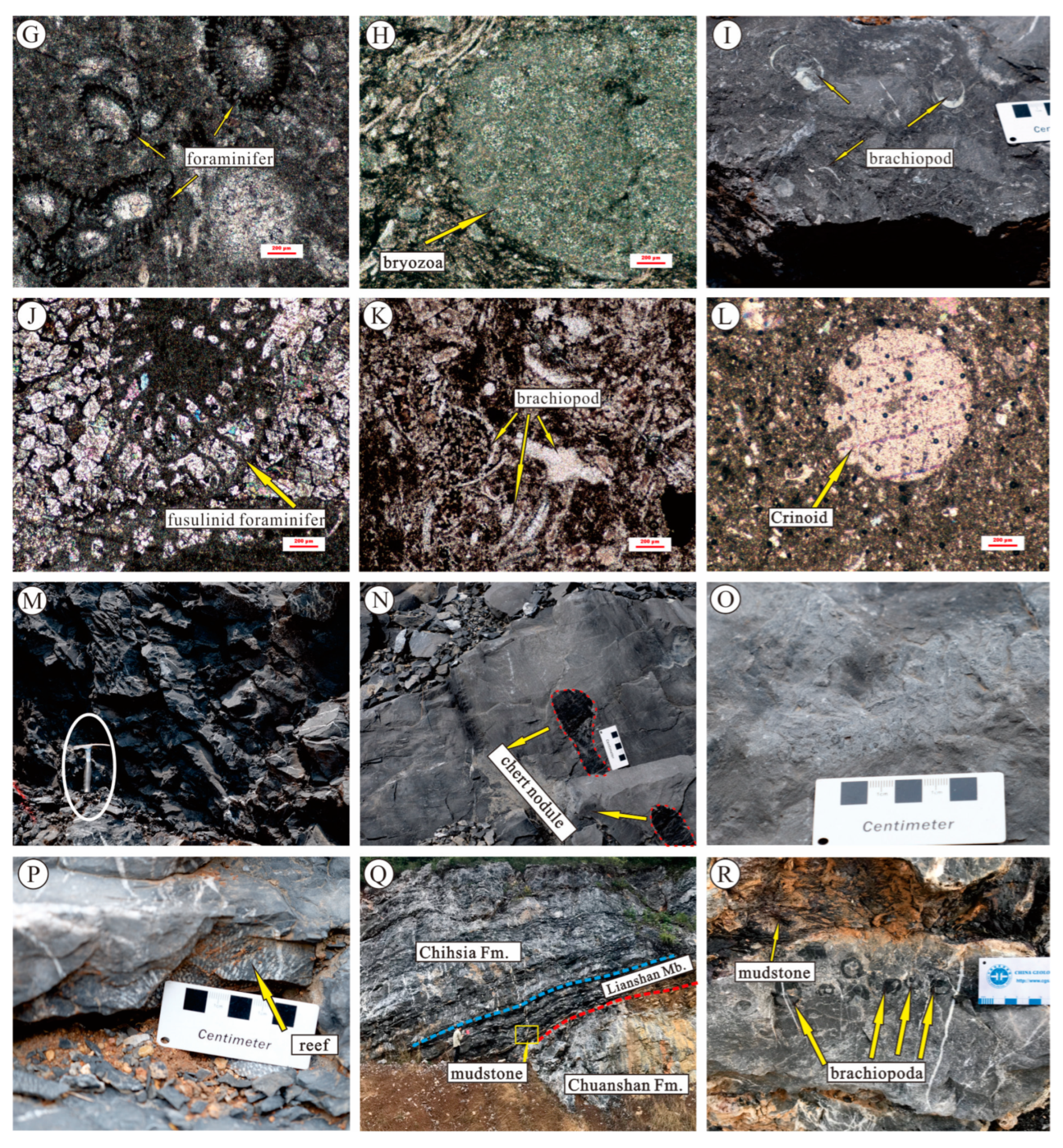 Minerals 13 00551 g003b Minerals 13 00551 g003b