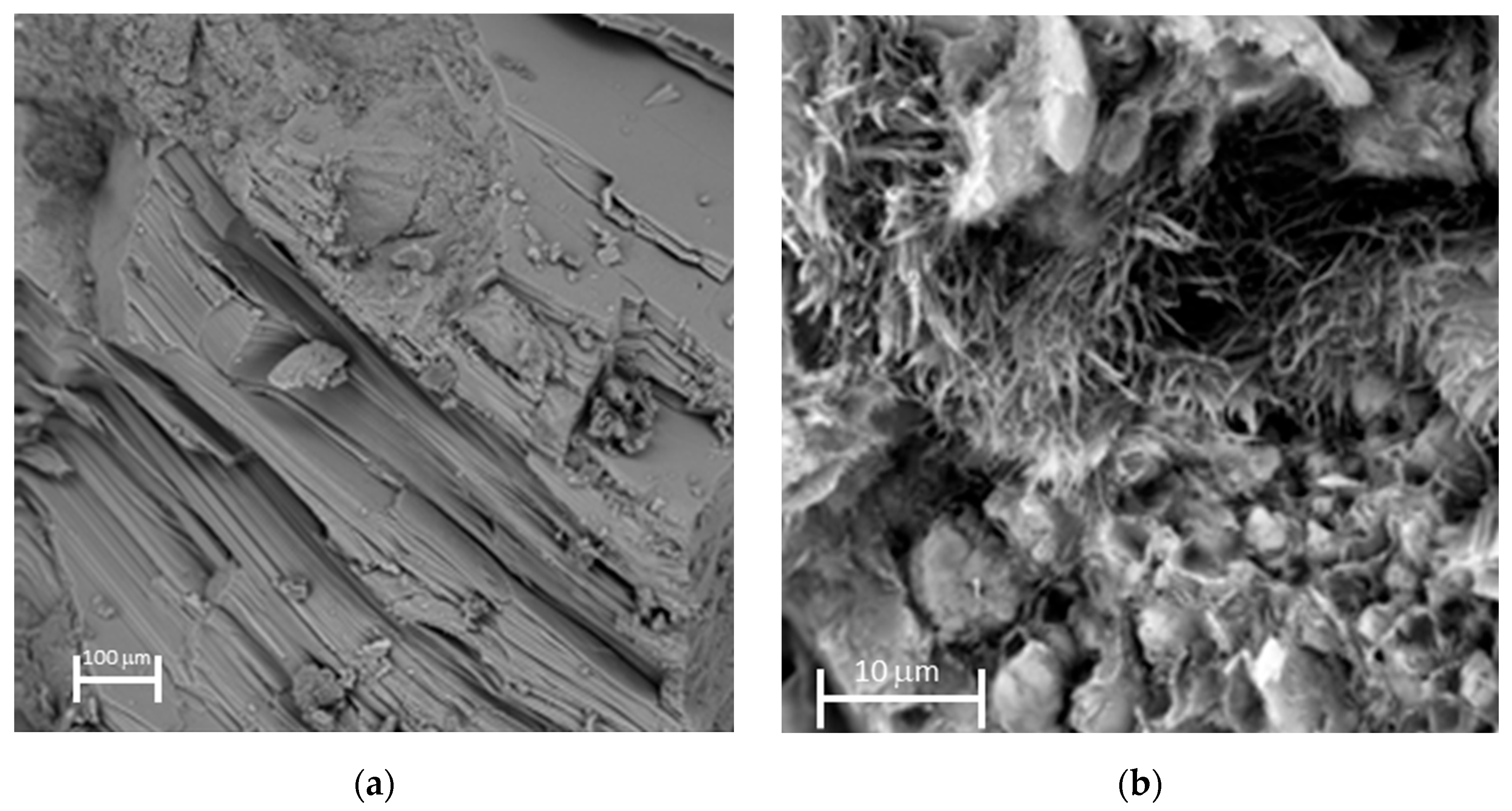 Minerals 13 00593 g001