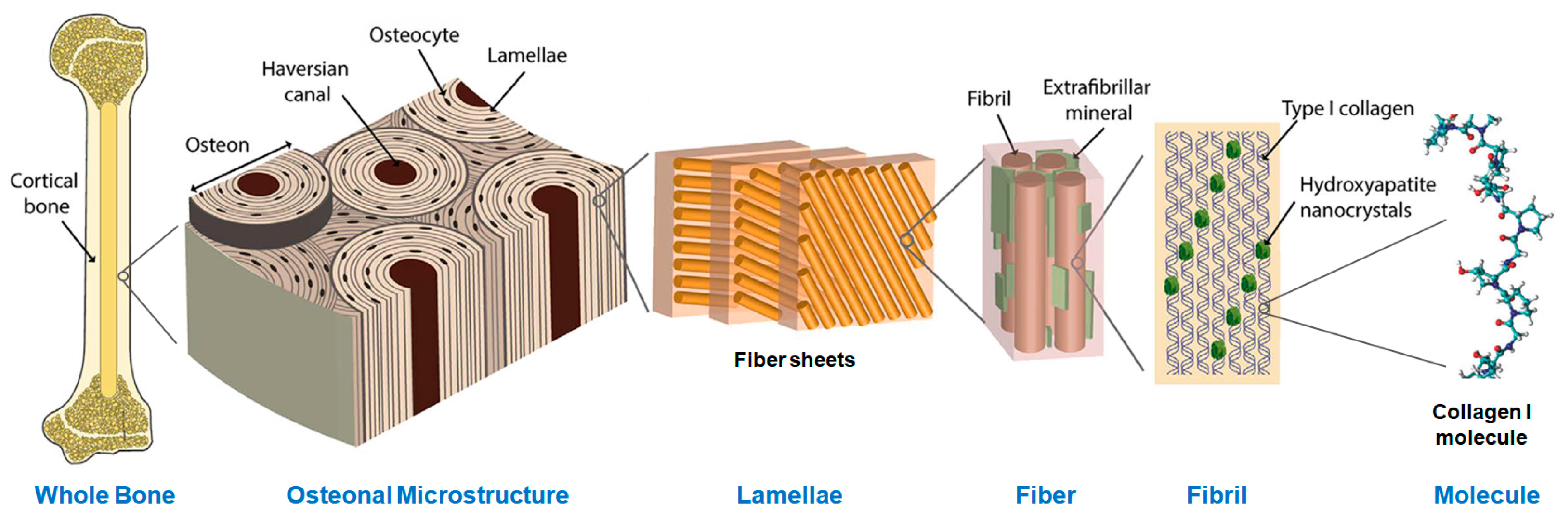 Minerals 13 00596 g001 Minerals 13 00596 g001