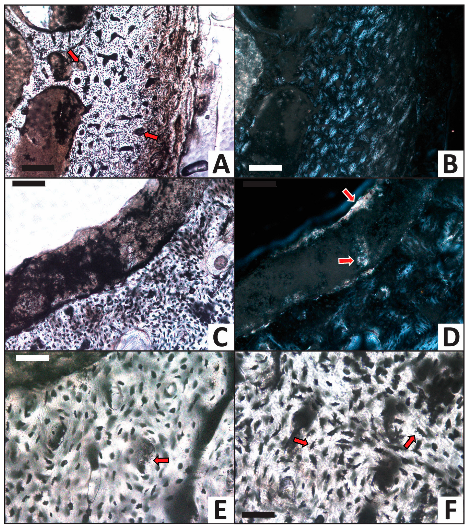 Minerals 13 00596 g007 Minerals 13 00596 g007