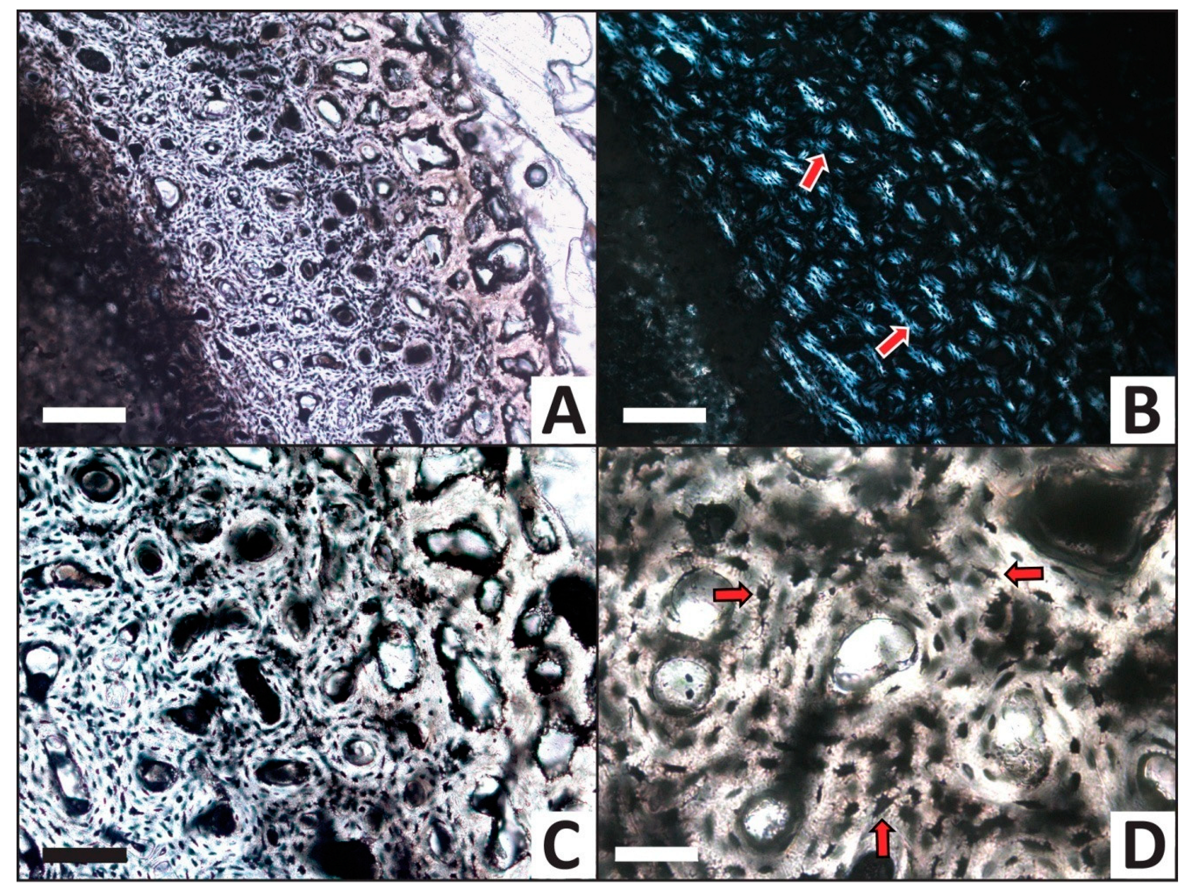 Minerals 13 00596 g008 Minerals 13 00596 g008