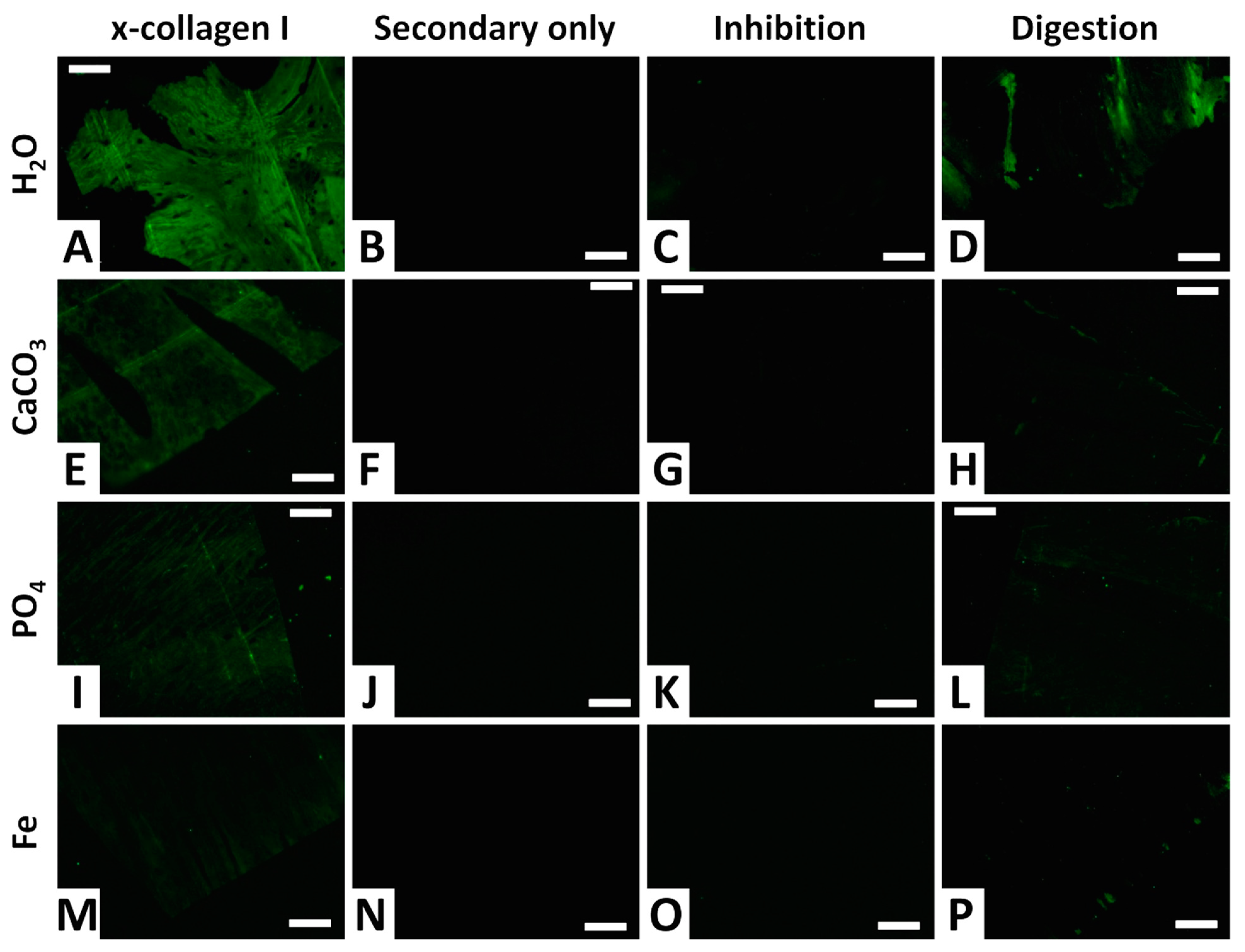 Minerals 13 00596 g011 Minerals 13 00596 g011