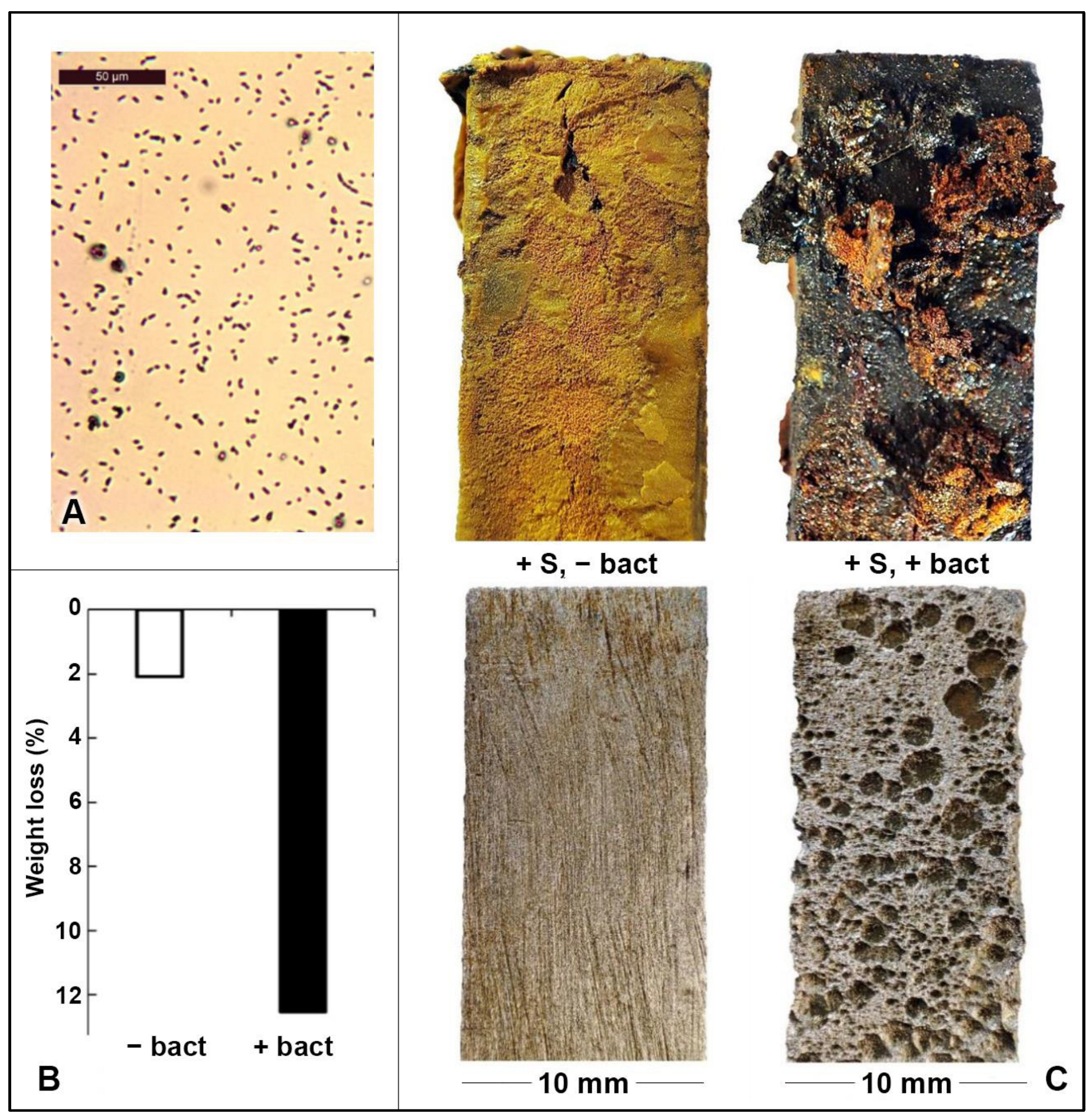 Minerals 13 00598 g004