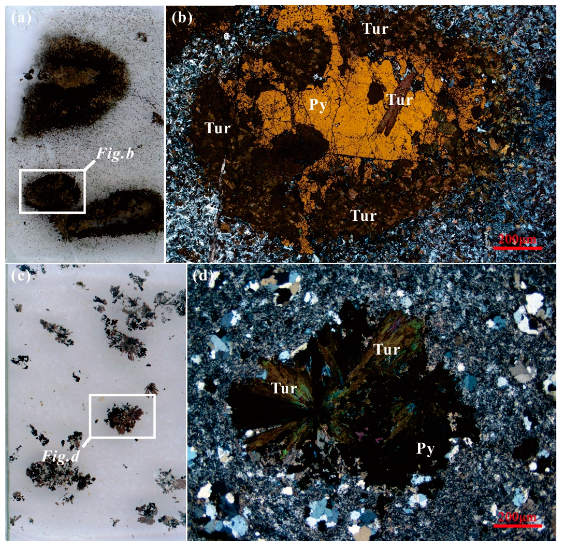 Minerals 13 00612 g004