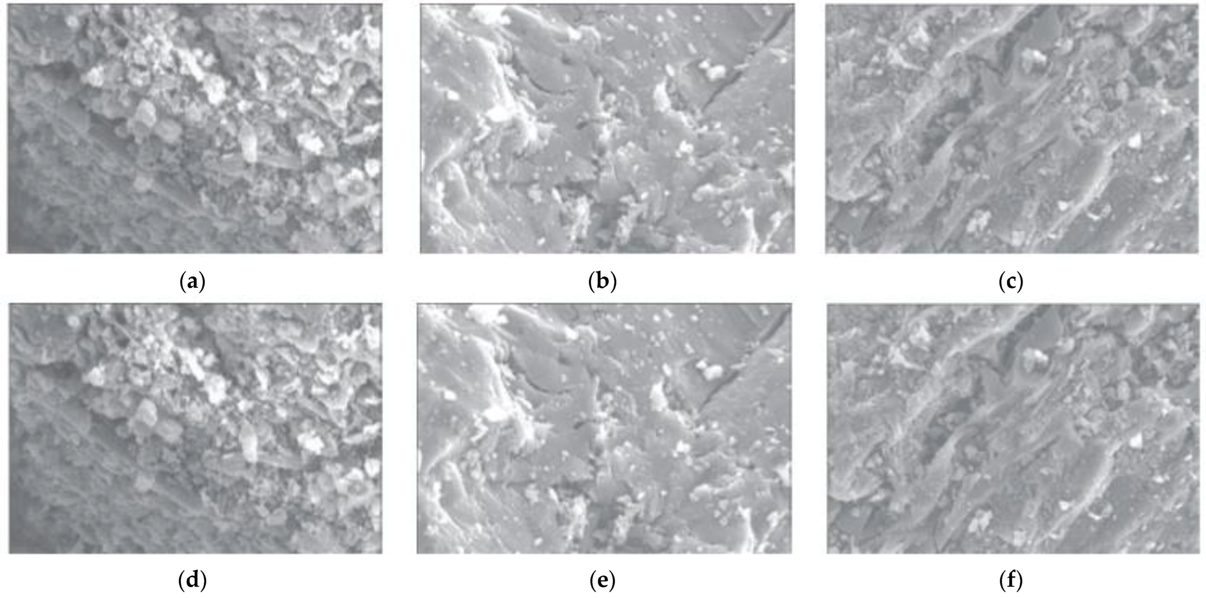 Minerals 13 00616 g005