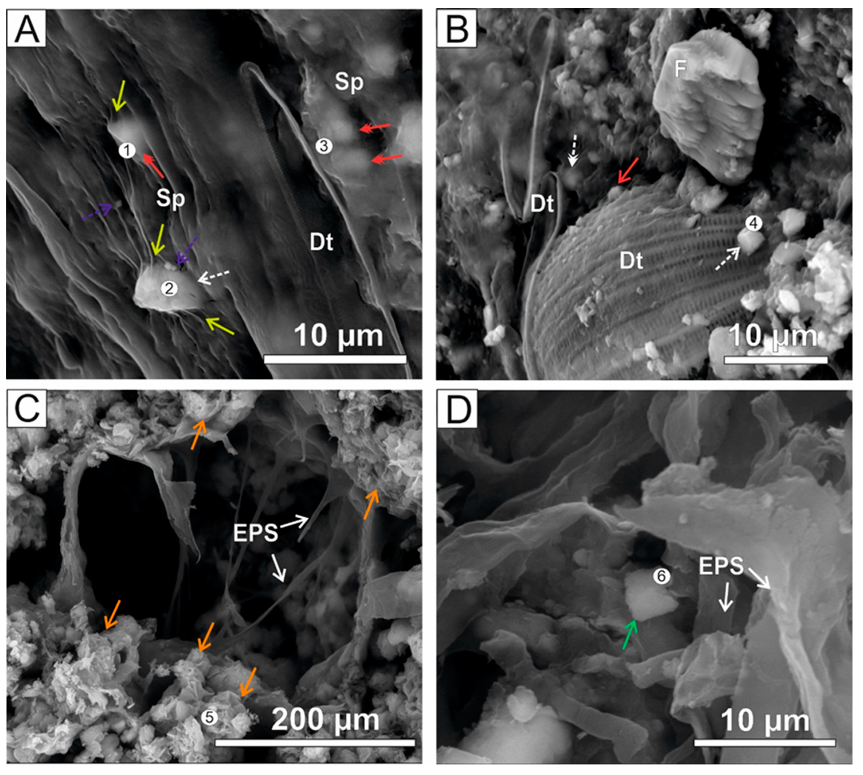Minerals 13 00617 g004 Minerals 13 00617 g004