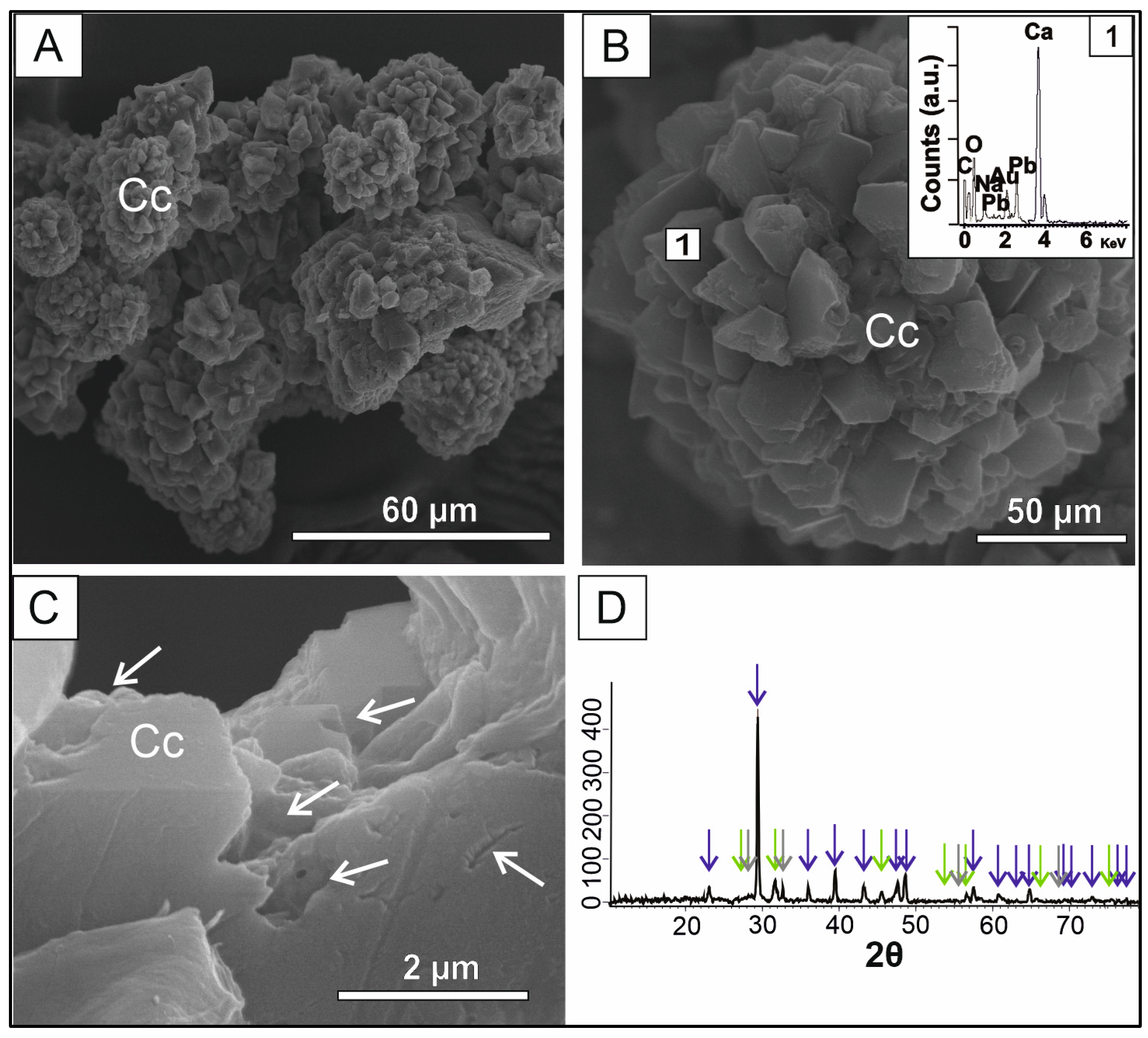 Minerals 13 00627 g003 Minerals 13 00627 g003