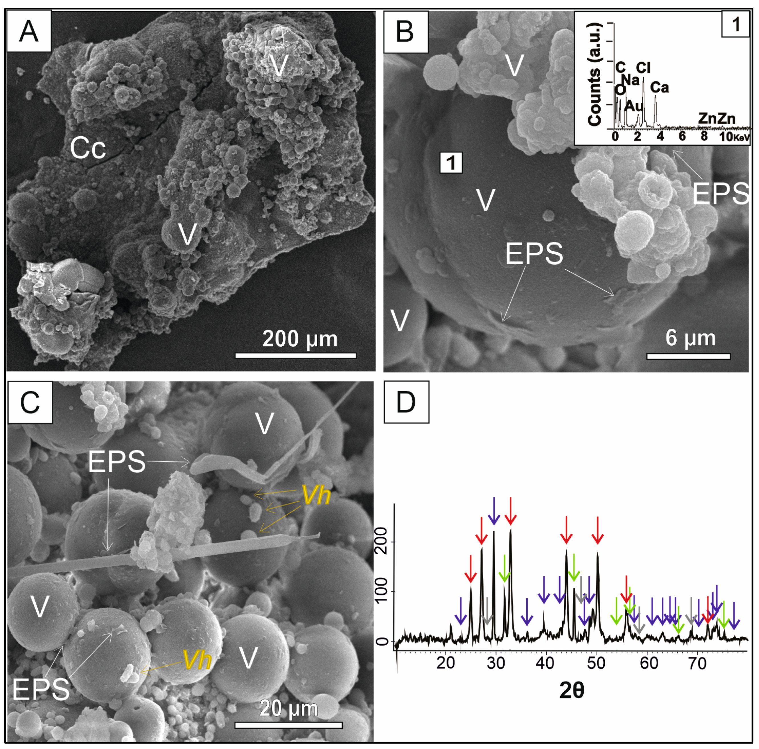 Minerals 13 00627 g004 Minerals 13 00627 g004
