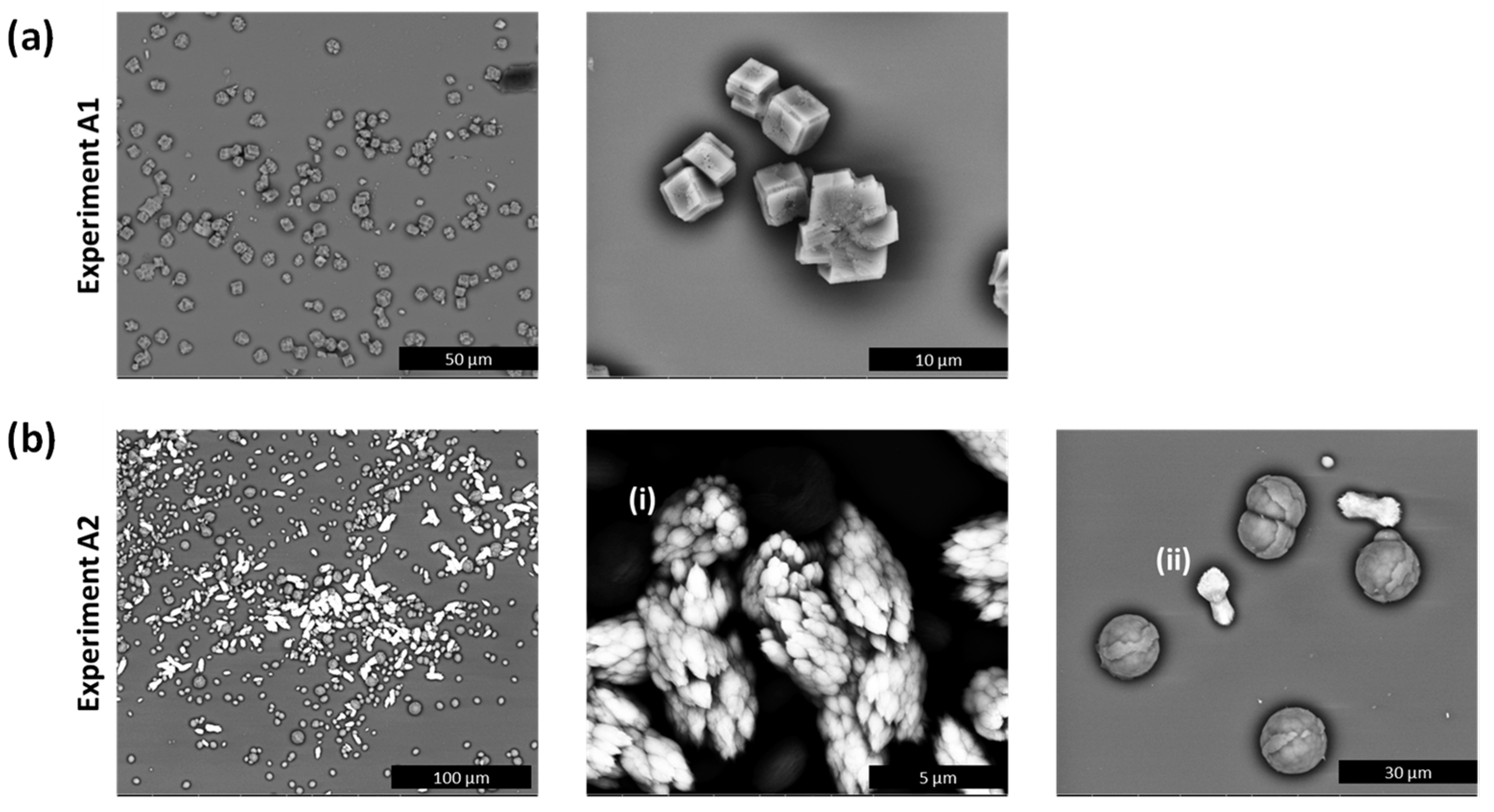 Minerals 13 00636 g005 Minerals 13 00636 g005